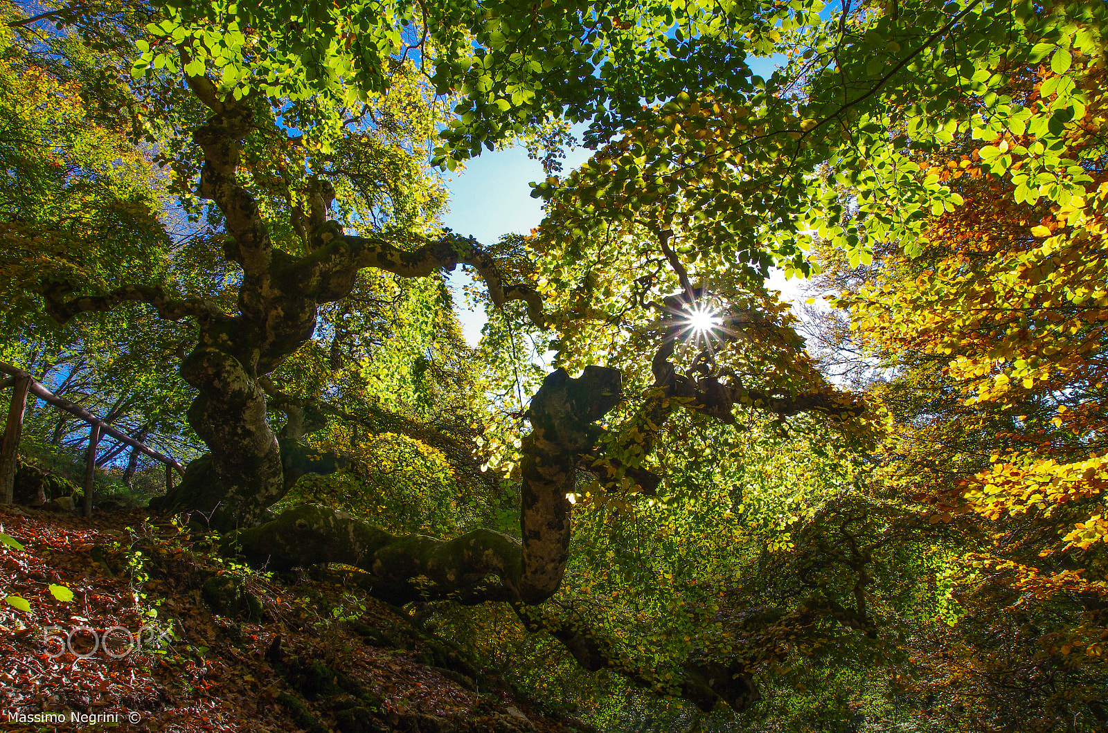 Pentax K-5 IIs sample photo. Breath of nature photography