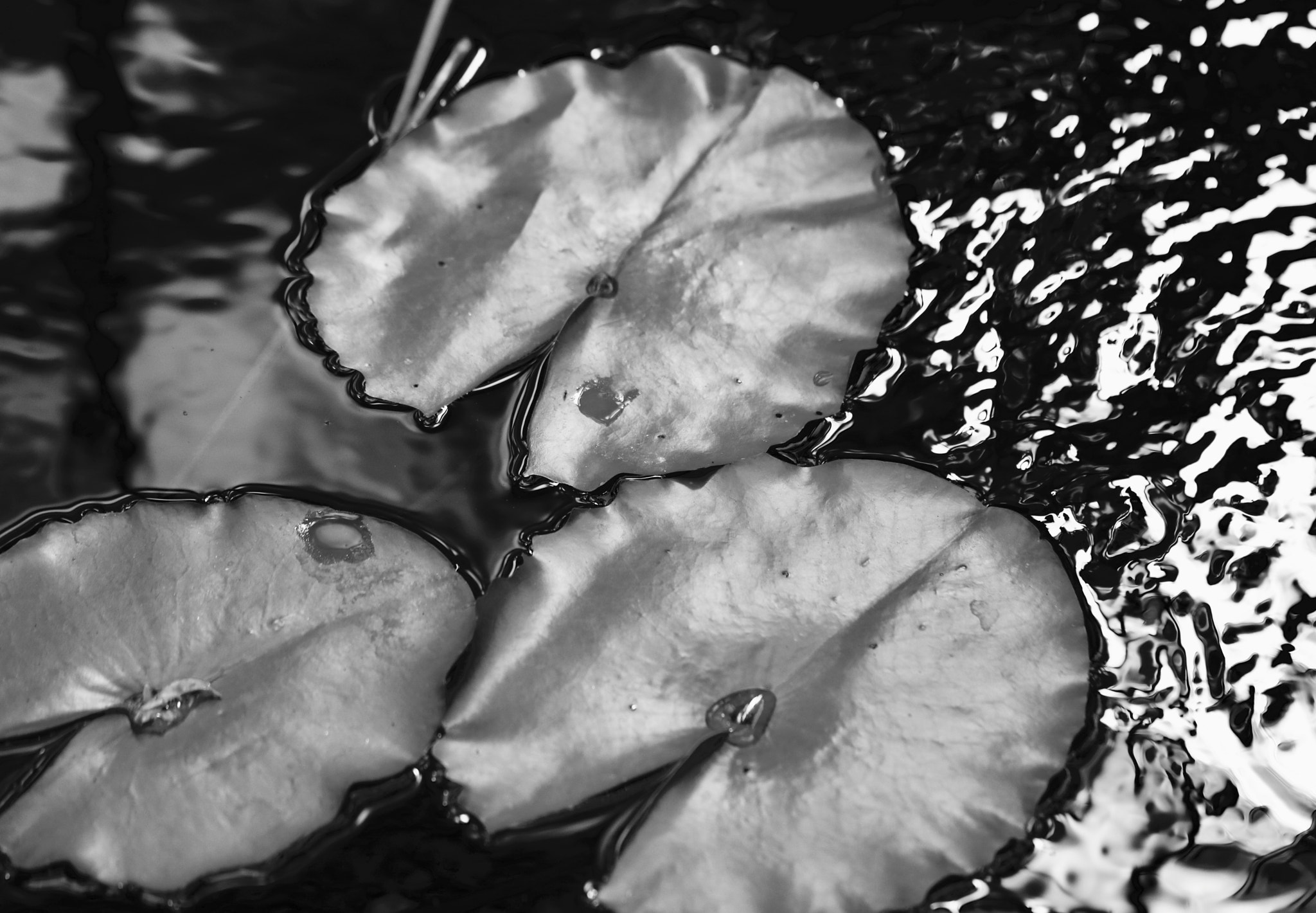 Canon EOS 760D (EOS Rebel T6s / EOS 8000D) sample photo. Lazy river photography