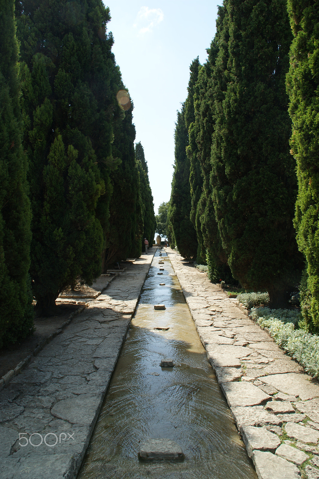 Sony DT 18-200mm F3.5-6.3 sample photo. Balchik garden photography