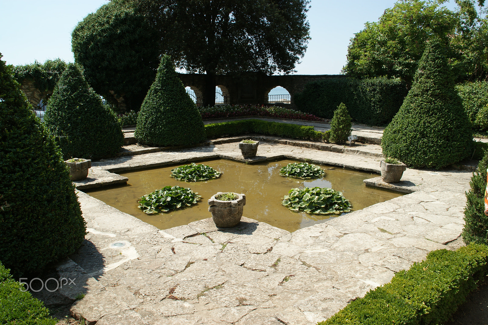 Sony DT 18-200mm F3.5-6.3 sample photo. Balchik garden 2 photography