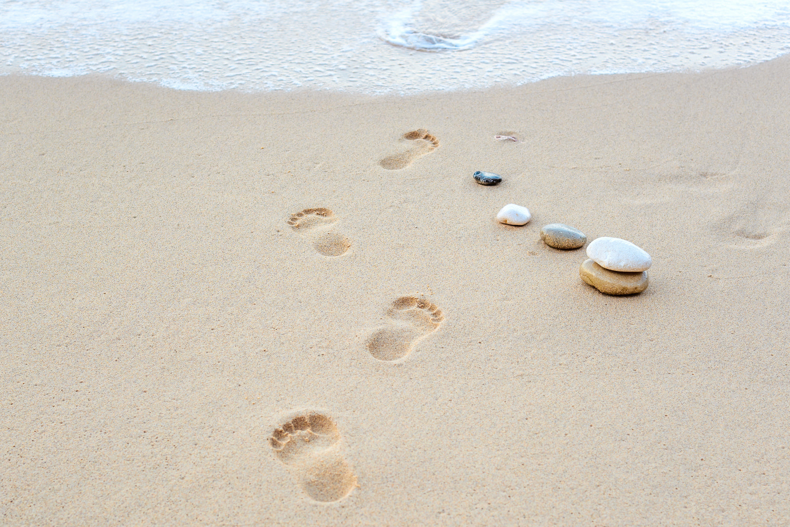 ZEISS Makro-Planar T* 50mm F2 sample photo. Beach photography