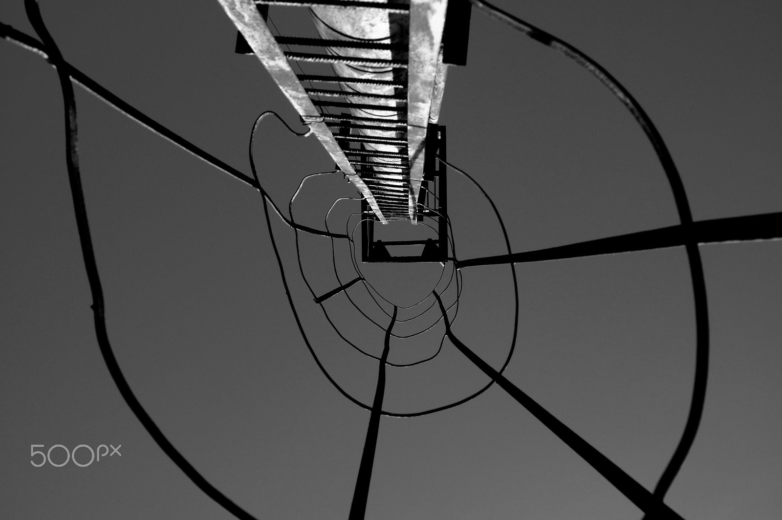 Sigma 18-200mm F3.5-6.3 DC sample photo. Up ... photography