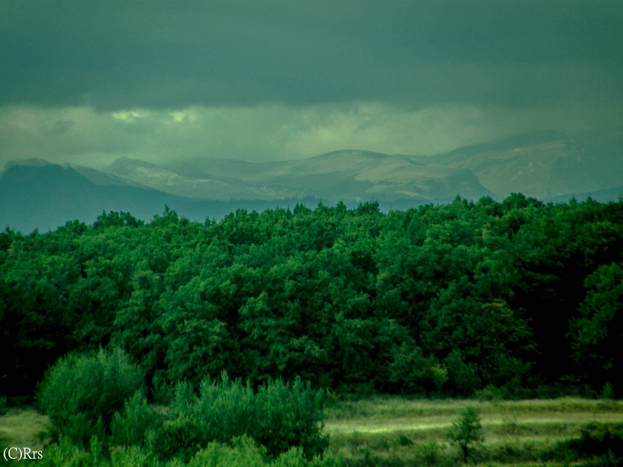 Olympus SP550UZ sample photo. Mountains, contrast and trees. photography