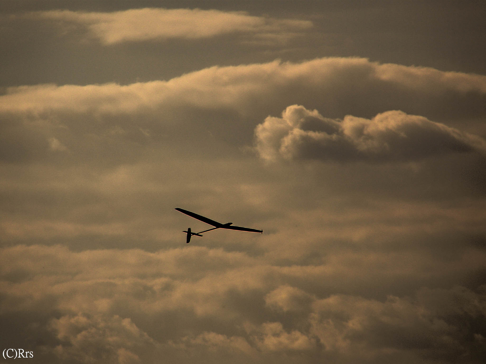 Olympus SP550UZ sample photo. Fly high, high.. photography