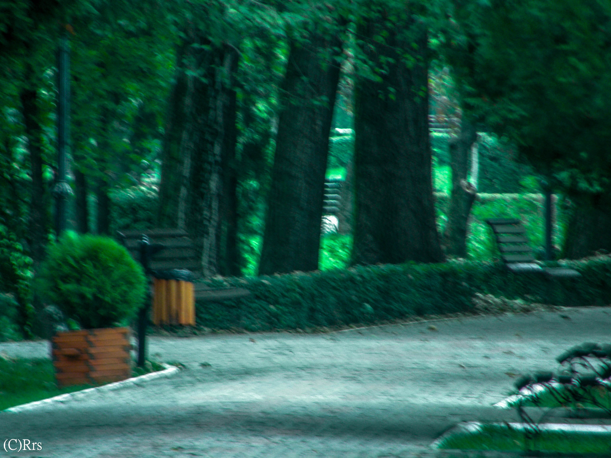 Olympus SP550UZ sample photo. Park, autumn. photography