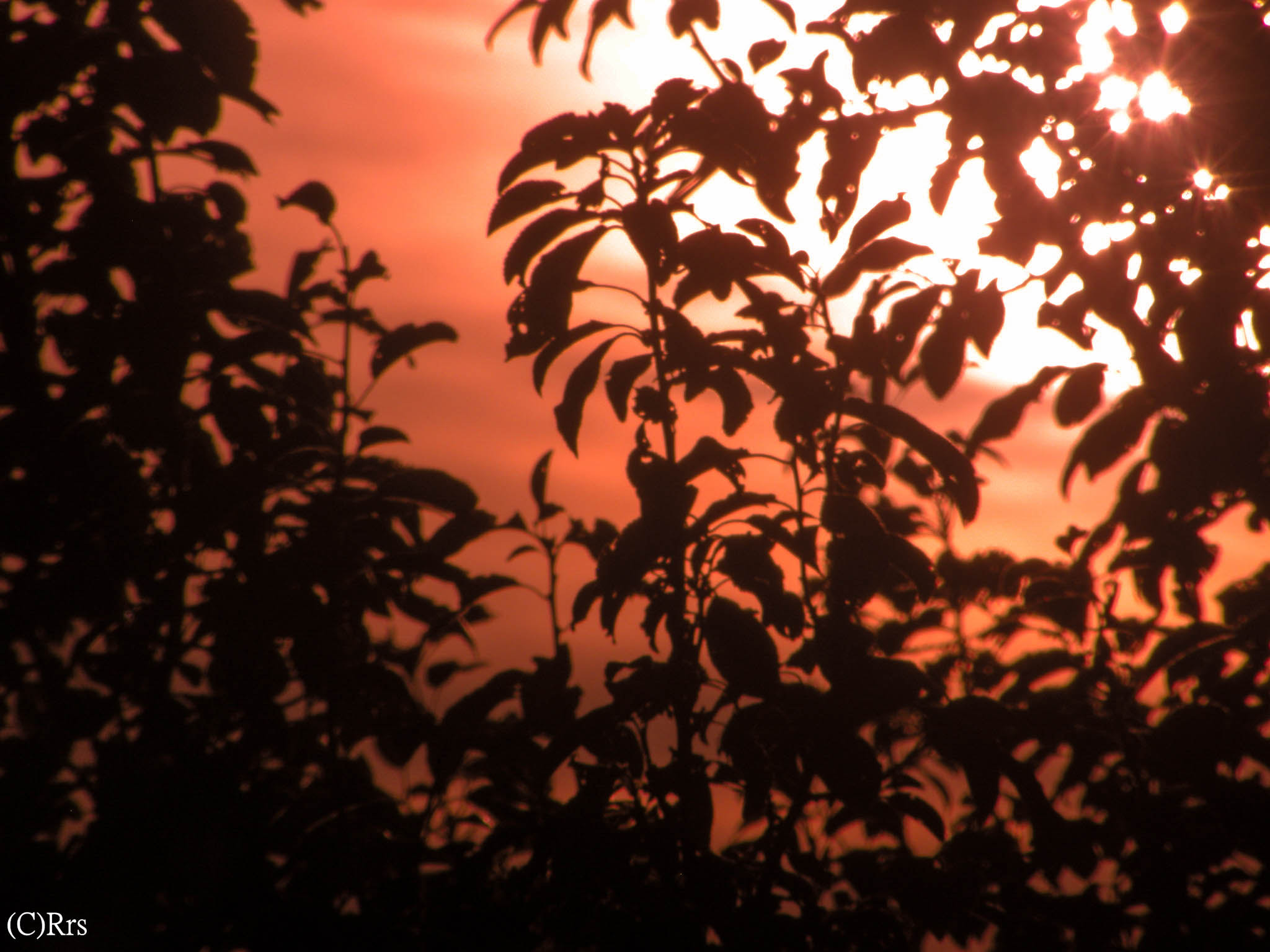 Olympus SP550UZ sample photo. Red sunset. photography