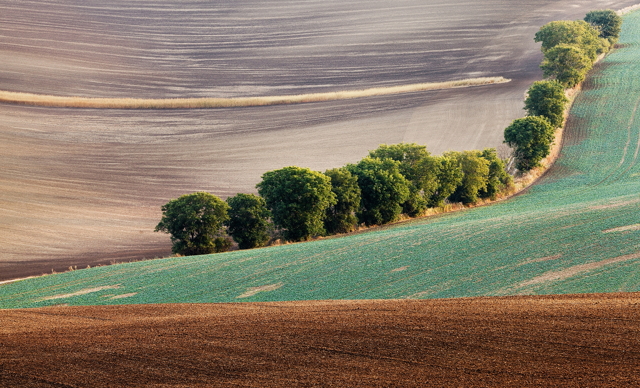 Canon EF 70-200mm F2.8L IS II USM sample photo. Moravian tuscany photography