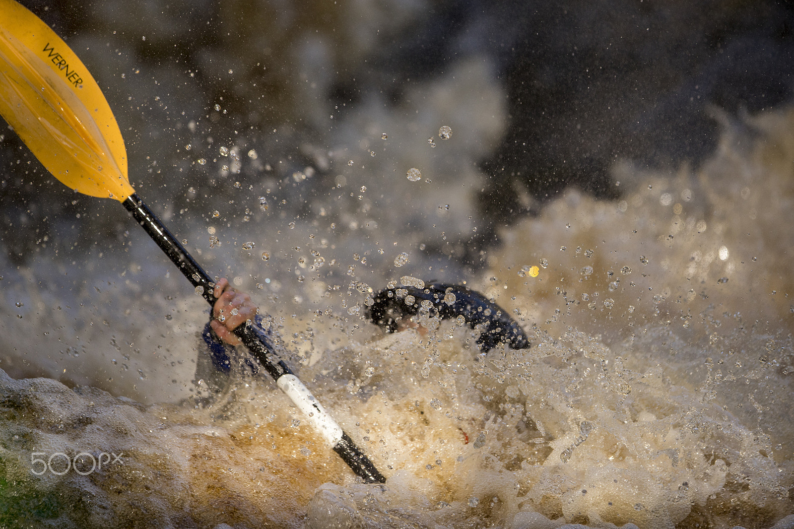 Canon EF 300mm F2.8L IS USM sample photo. Crana fest 2016 photography