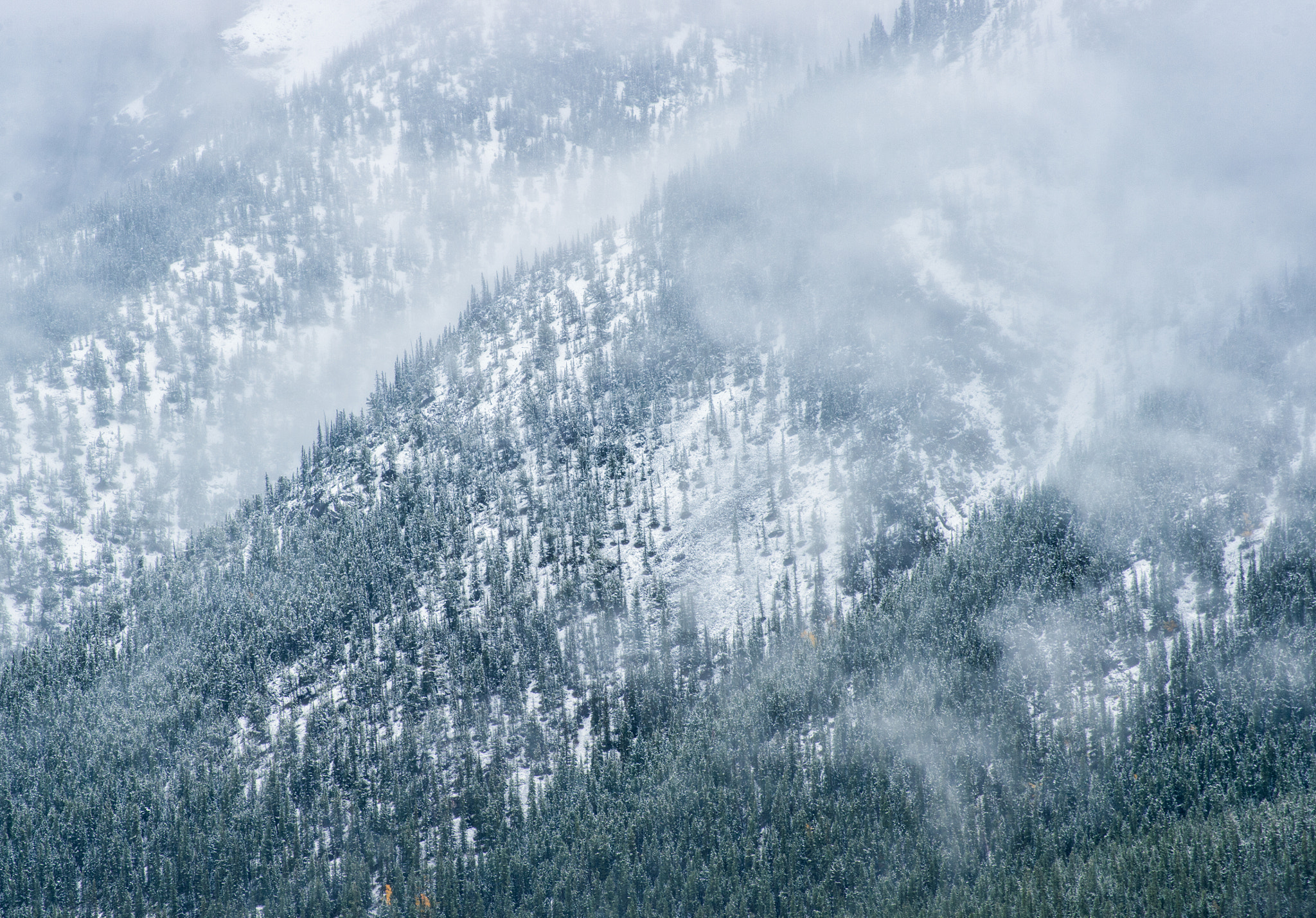 Nikon Df sample photo. A snowy start to the last day of summer photography