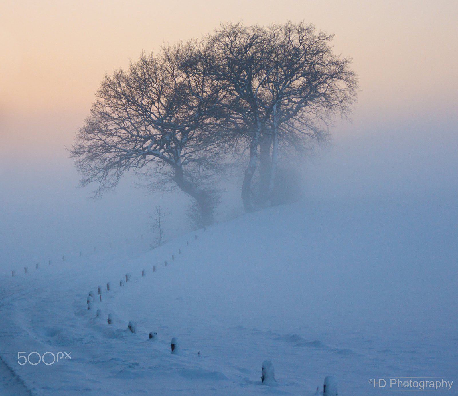 Sony 70-300mm F4.5-5.6 G SSM sample photo. Snowfog photography