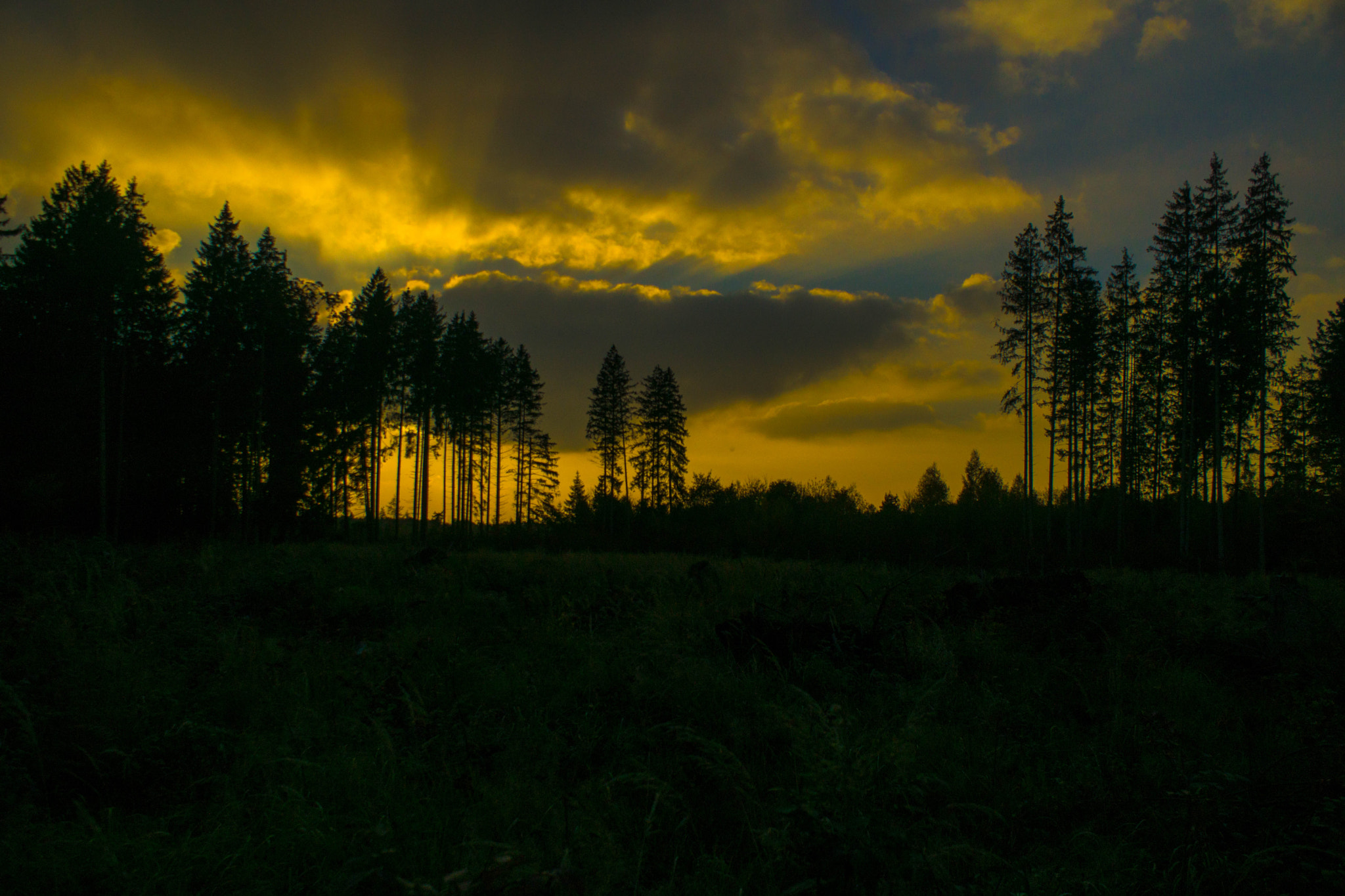 Sony DT 18-70mm F3.5-5.6 sample photo. Sehr abend photography