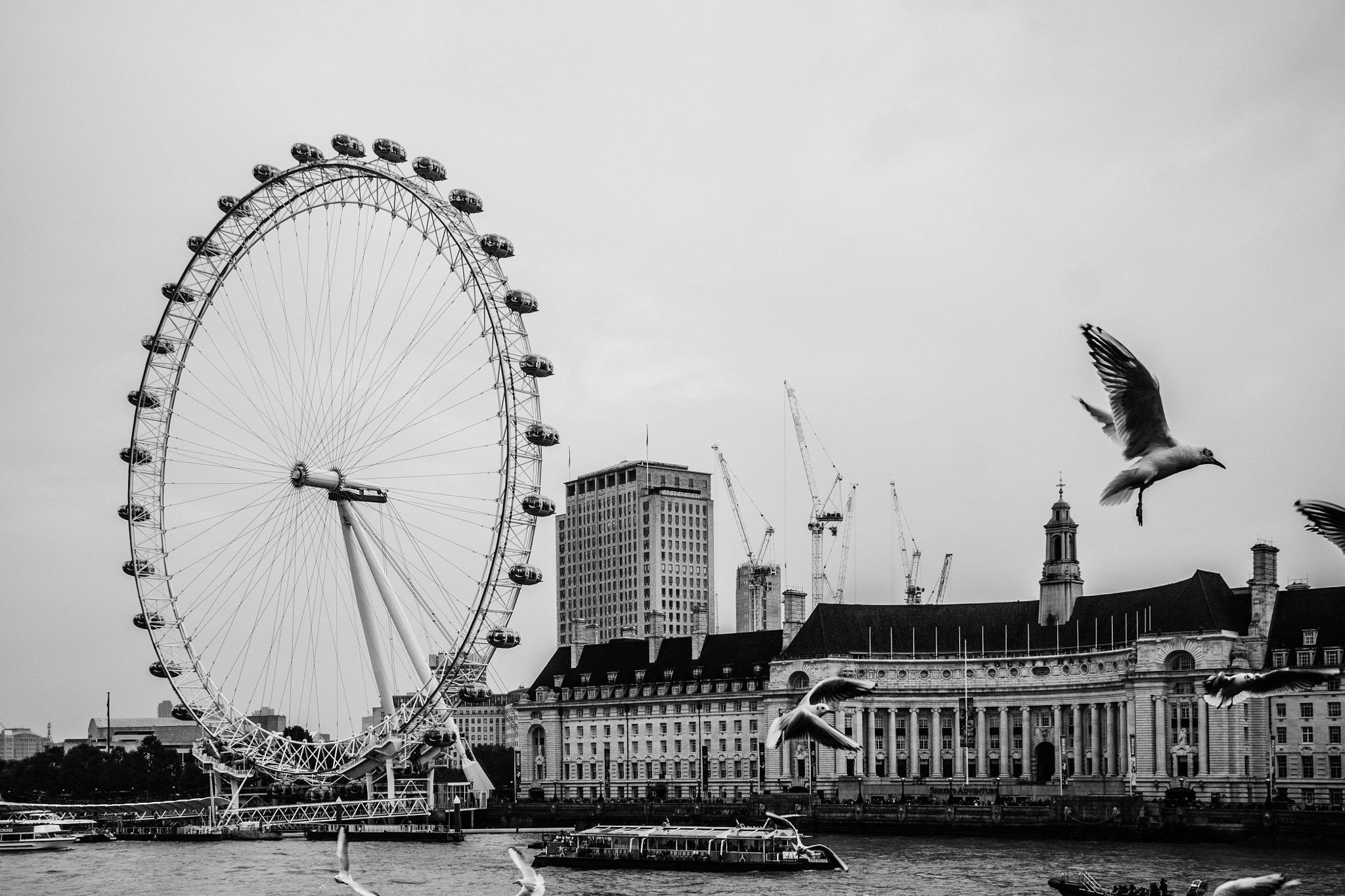 Sony SLT-A65 (SLT-A65V) sample photo. Eye of london & some dude just fed some birds photography