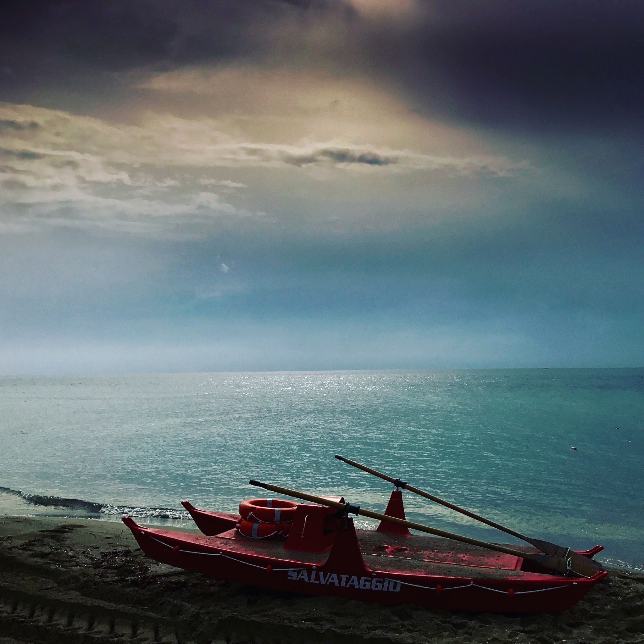 Apple iPhone 7 Plus sample photo. #lifeguard photography