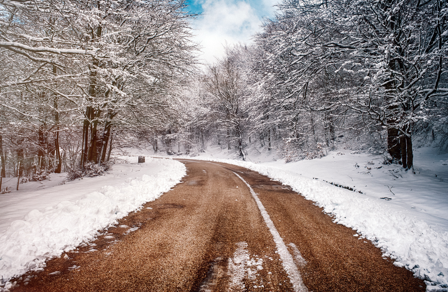 Nikon D700 + AF Nikkor 24mm f/2.8 sample photo. Long and winding road #2 photography