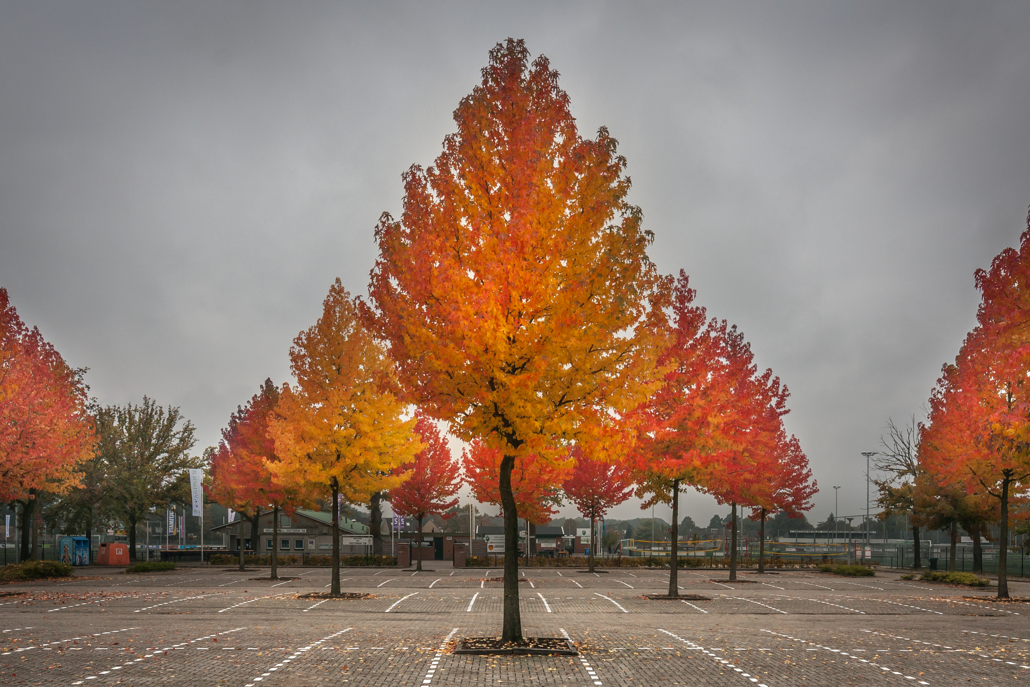 Canon EOS 1000D (EOS Digital Rebel XS / EOS Kiss F) sample photo. "autumn is coming..." photography