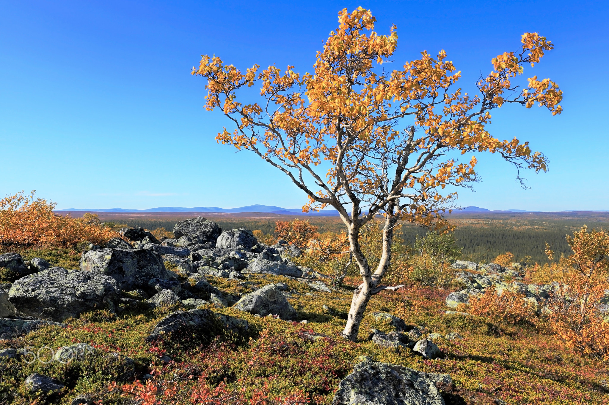 Autumn in the mountains