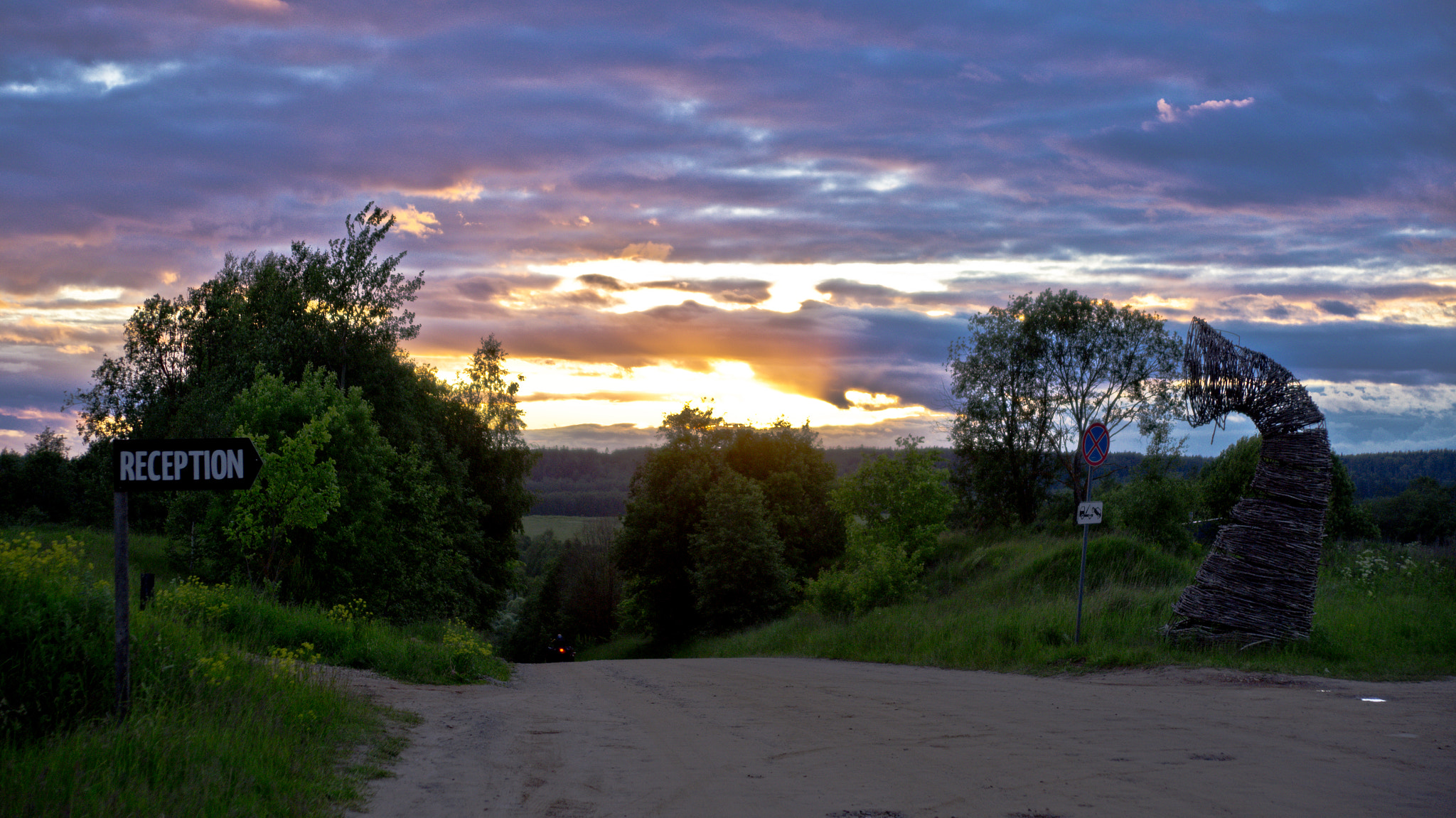 Sony SLT-A55 (SLT-A55V) sample photo. Reception in a trunk photography