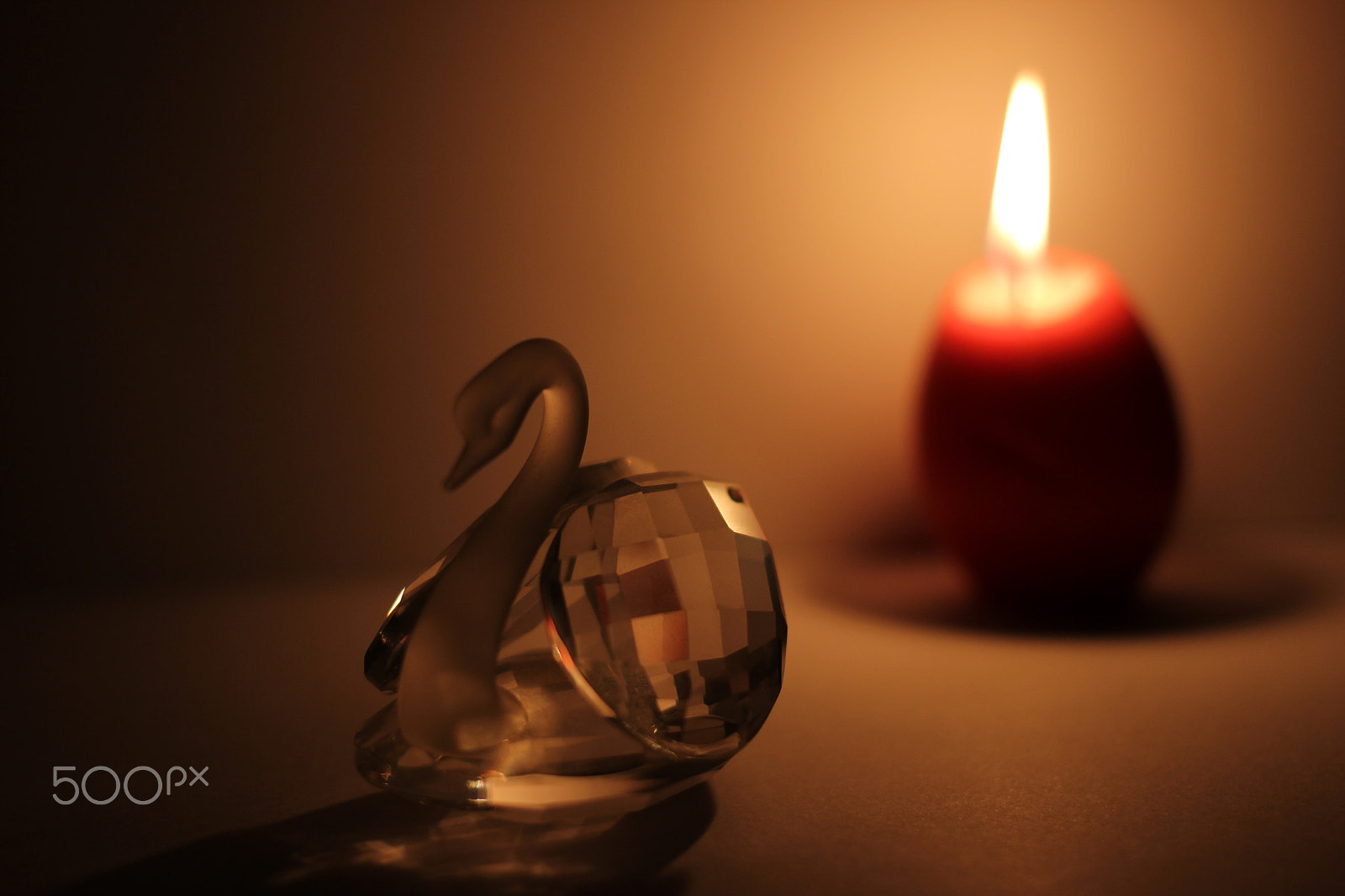 Canon EOS 600D (Rebel EOS T3i / EOS Kiss X5) + Canon EF 40mm F2.8 STM sample photo. Crystal swan photography