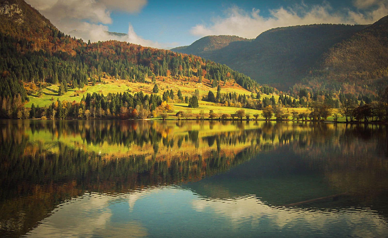 Canon EOS 50D sample photo. Reflection perfection photography