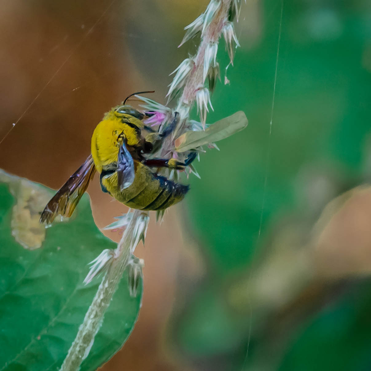 Canon EF 300mm F4L IS USM sample photo. Img photography