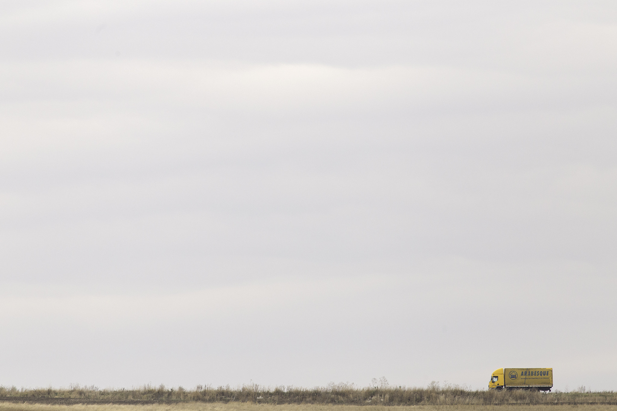 Canon EOS 6D + Canon EF 400mm F5.6L USM sample photo. Arabesque van photography