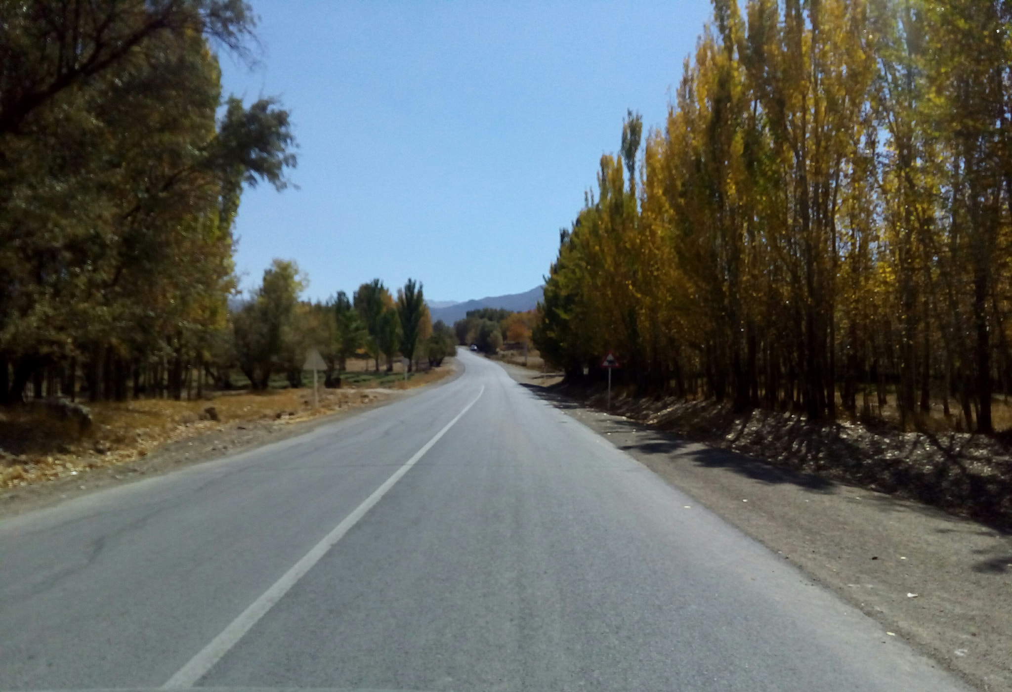 ASUS Zenfone Go (ASUS_Z00VD) sample photo