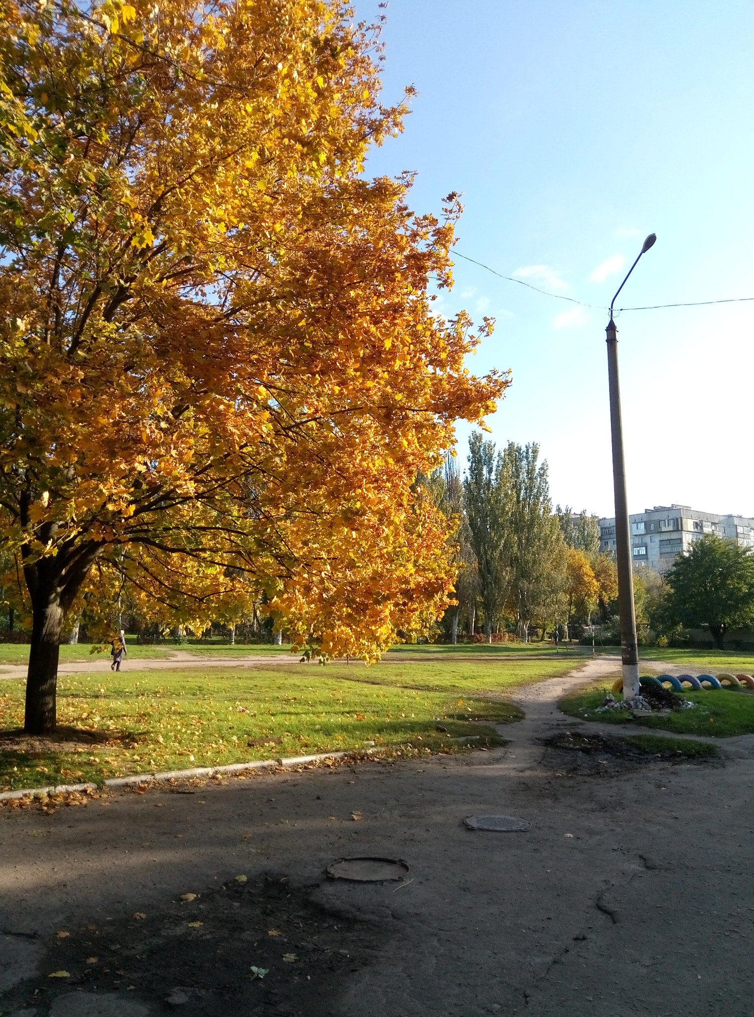 Meizu M3s sample photo. Осень photography