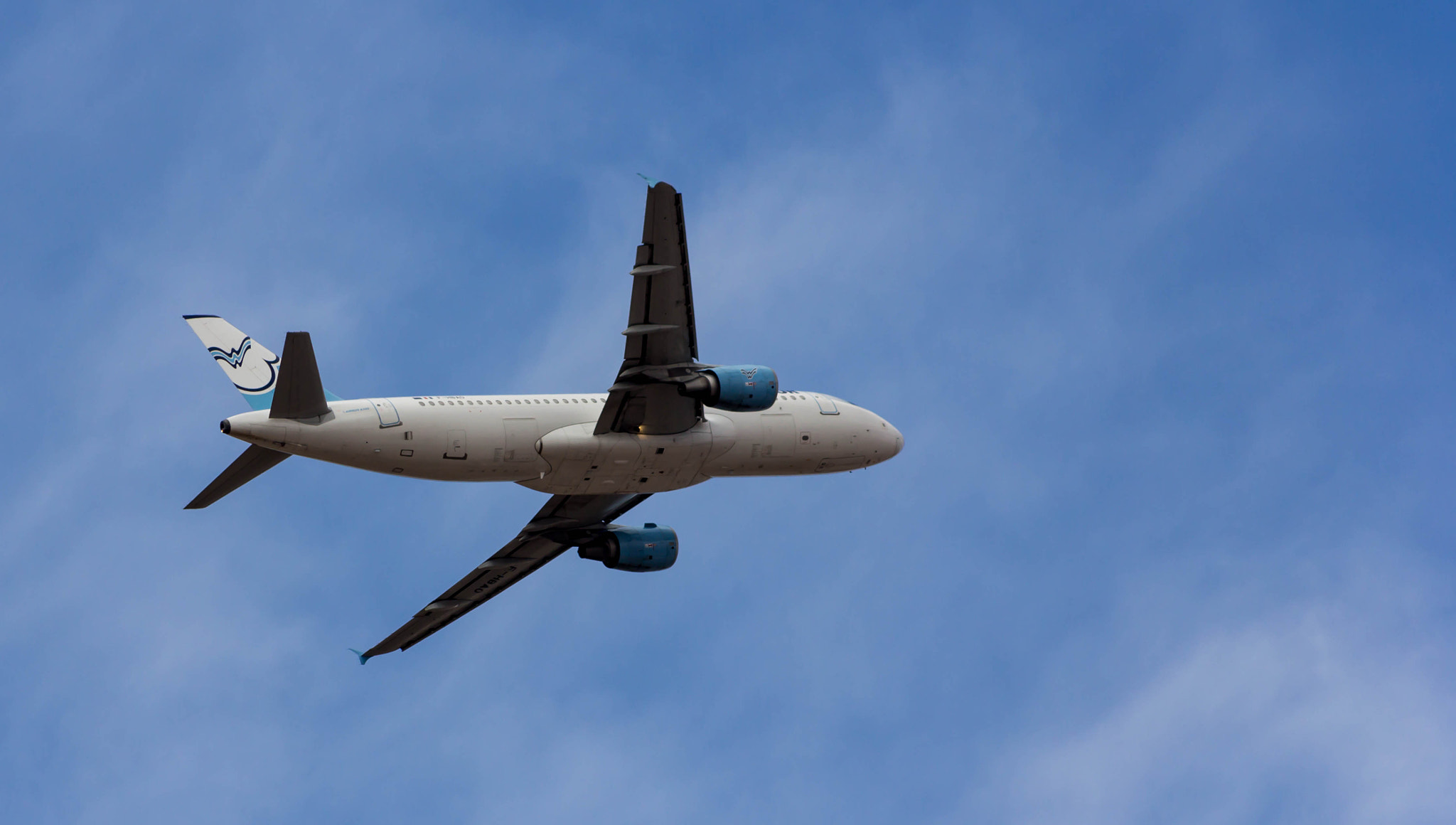 Canon EF 75-300mm f/4-5.6 USM sample photo. Fly away photography