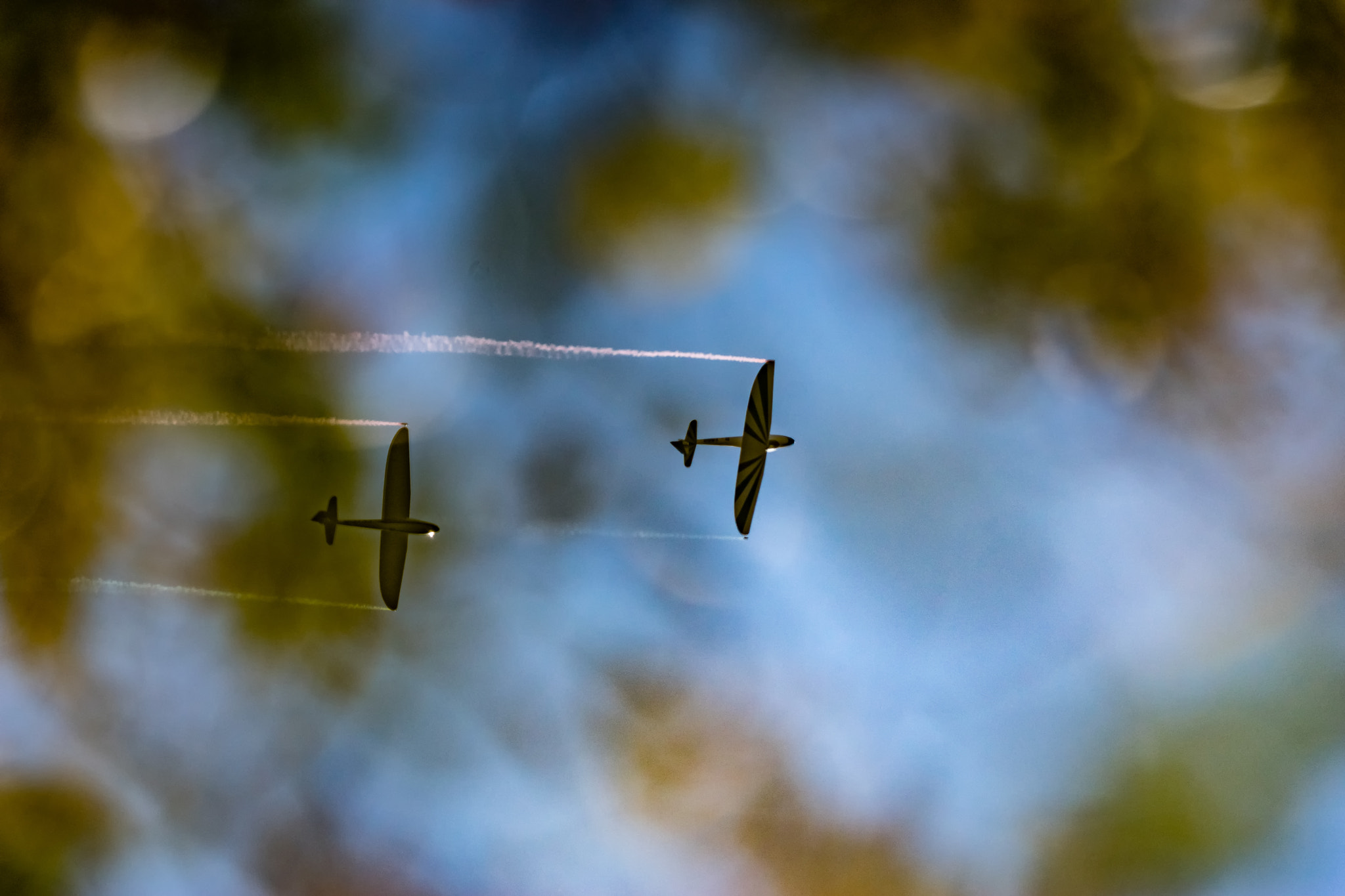 Sony a7 II + Tamron SP 150-600mm F5-6.3 Di VC USD sample photo. Gliding above the trees photography