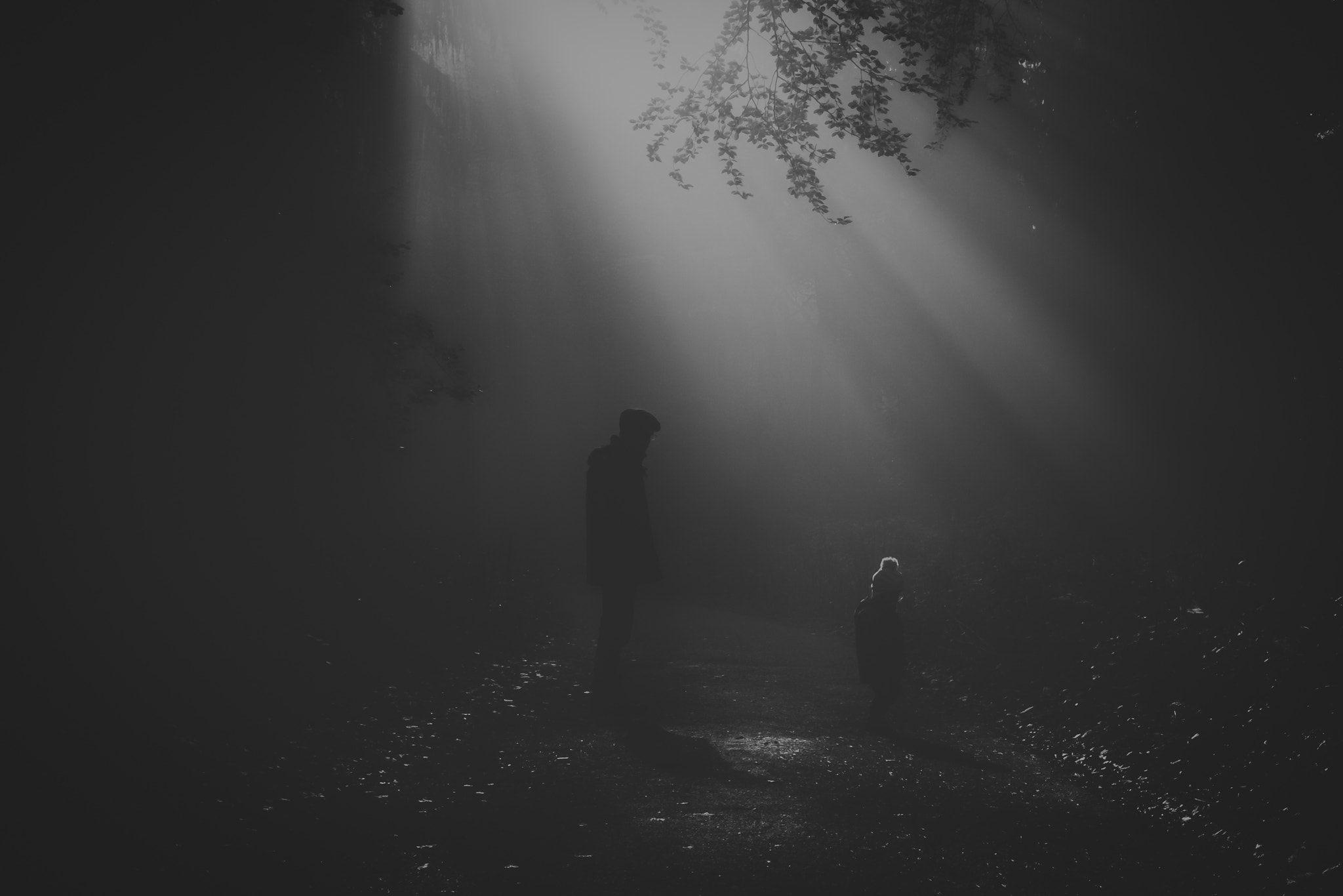 Fujifilm X-T1 + Fujifilm XF 27mm F2.8 sample photo. Foggy morning photography
