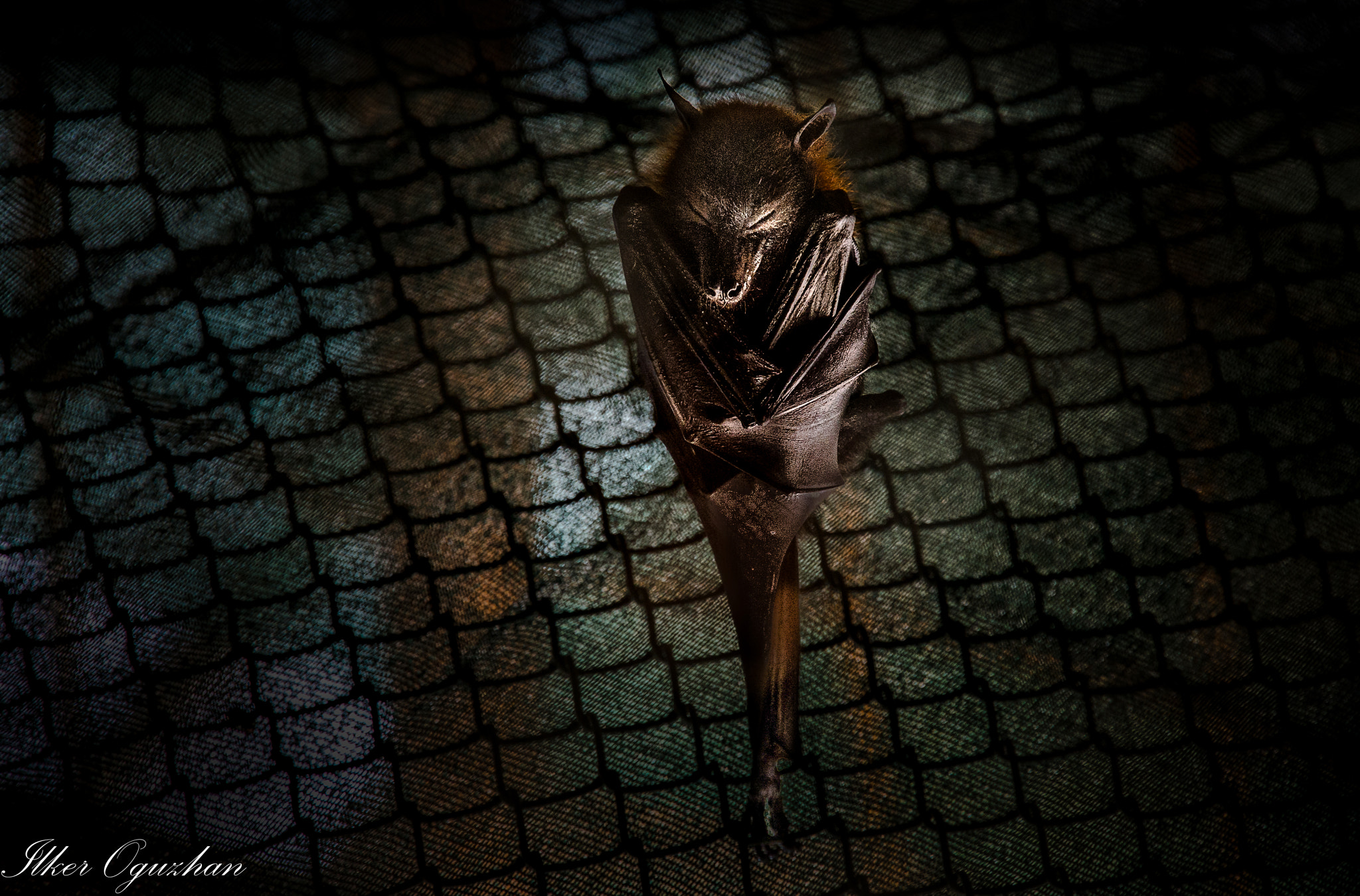 Nikon D4 sample photo. Batman photography
