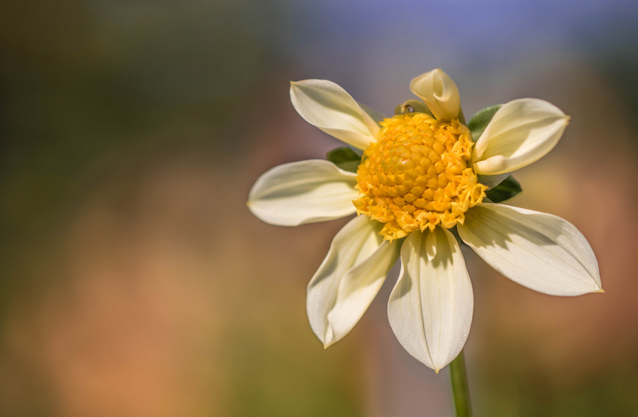 Canon EOS 760D (EOS Rebel T6s / EOS 8000D) sample photo. With open arms photography
