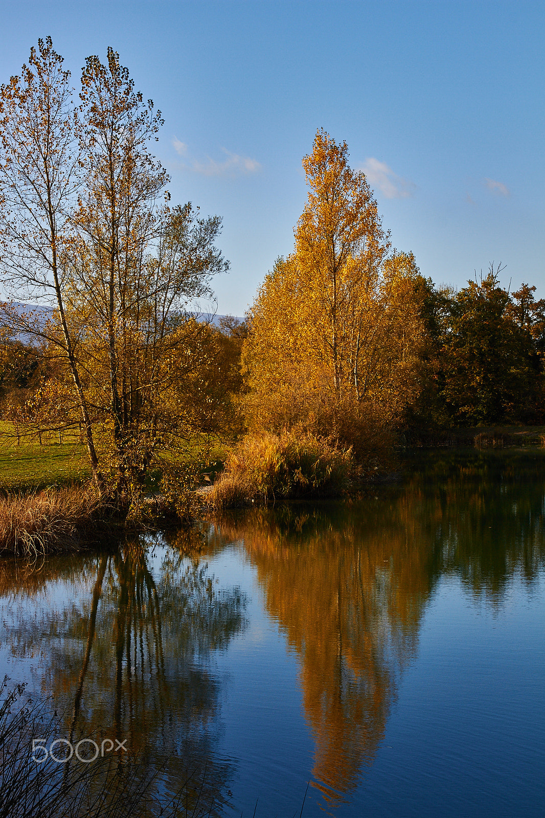 Canon EOS 7D sample photo. Reflections and autumn colors photography