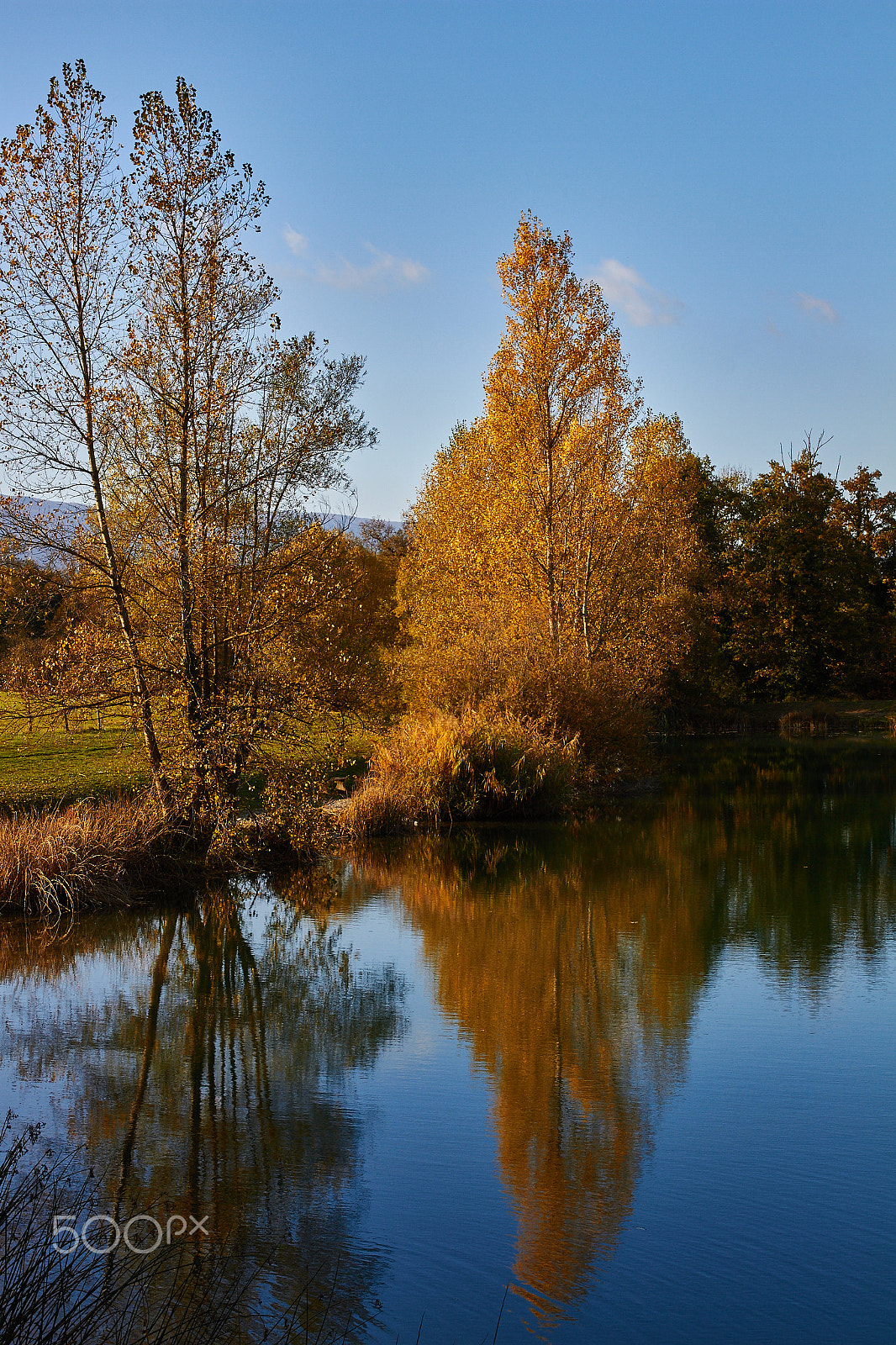 Sigma 24-70mm F2.8 EX DG HSM sample photo. Reflections and autumn colors photography