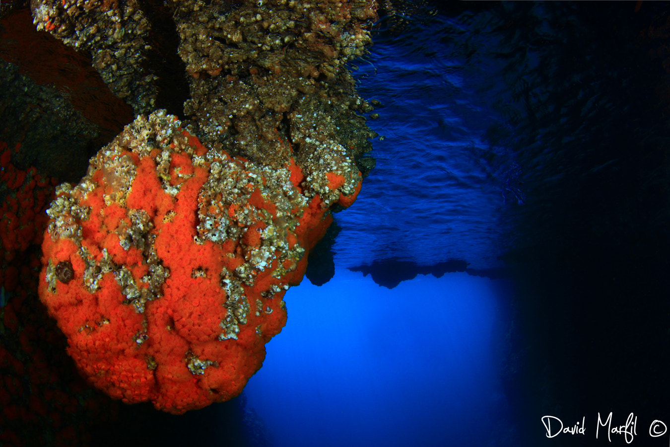 Canon EOS 50D sample photo. The cave photography