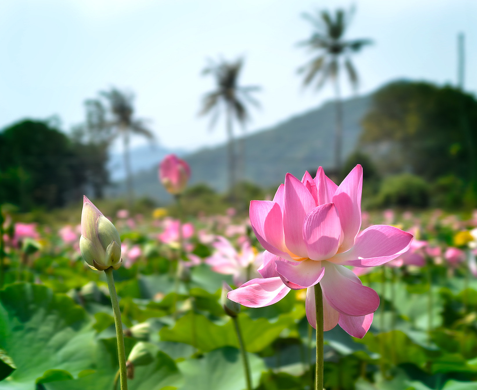 AF Zoom-Nikkor 28-70mm f/3.5-4.5 sample photo. Travel photography