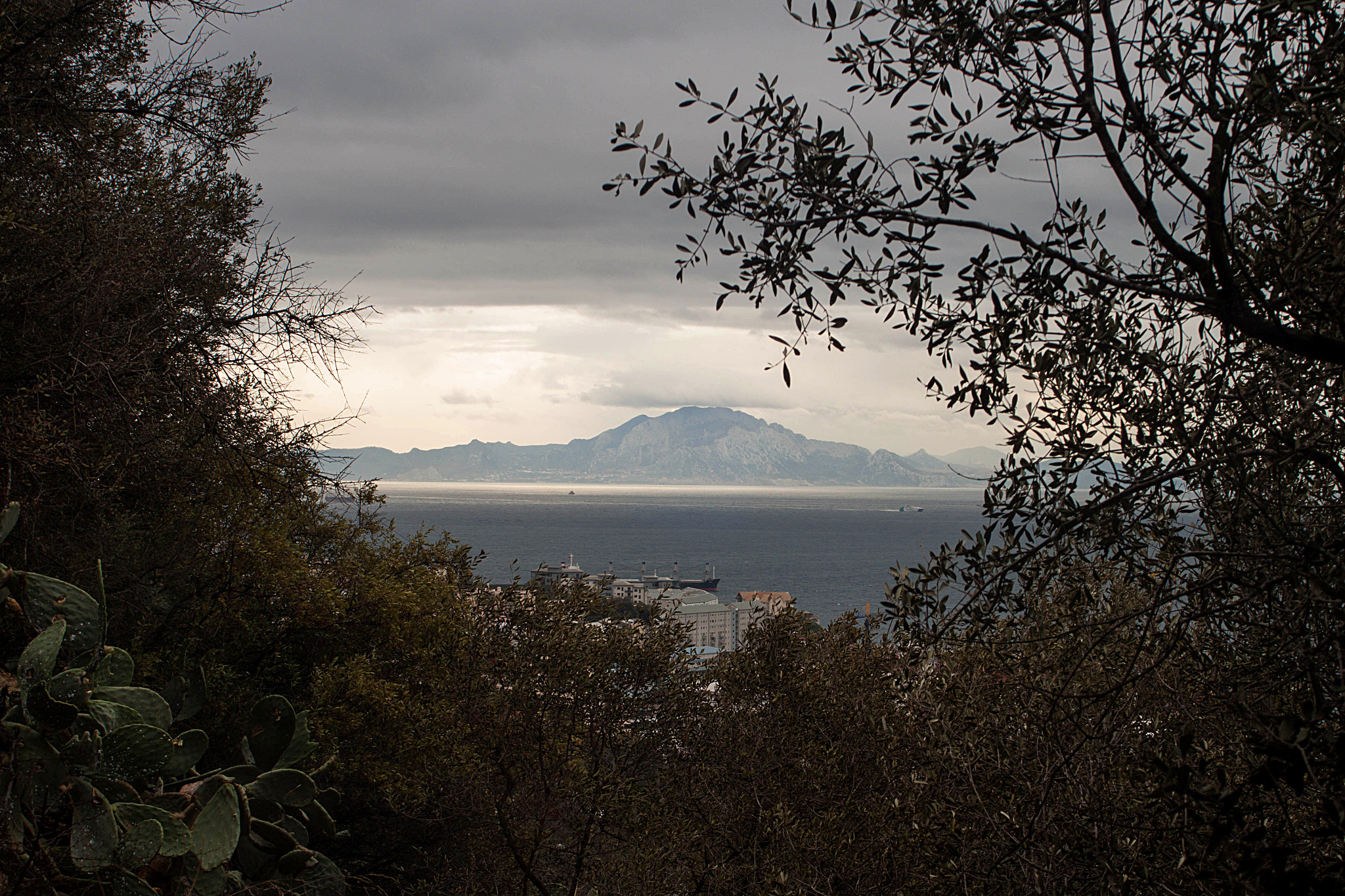Canon EF 35-80mm f/4-5.6 sample photo. Framed africa photography