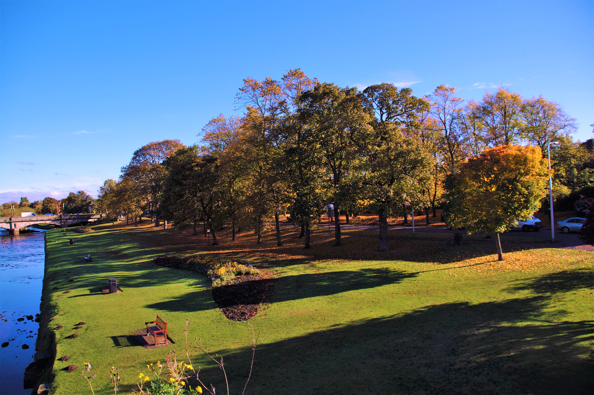 Nikon D90 + Sigma 18-200mm F3.5-6.3 DC sample photo. Sunny autumn photography