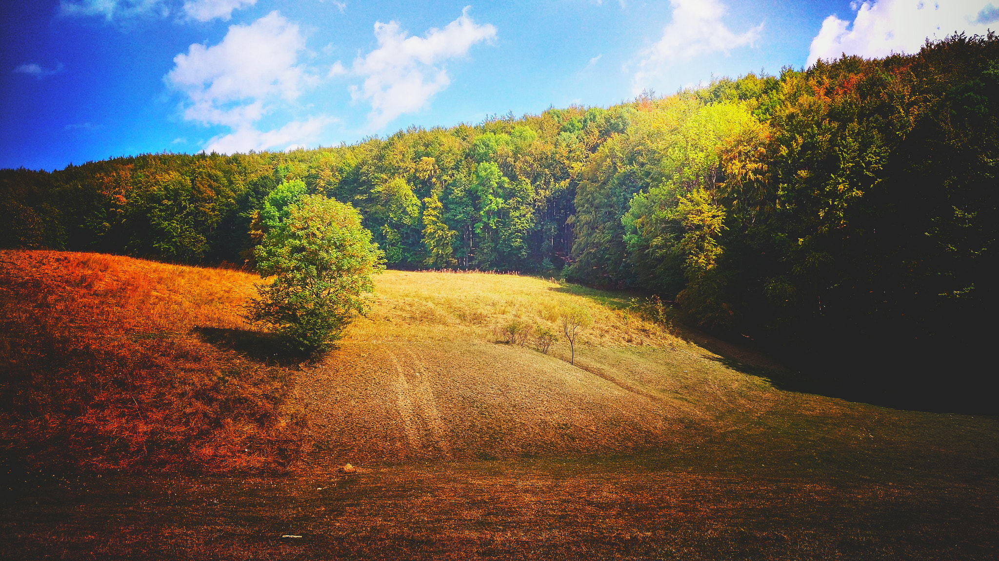 HTC M9 sample photo. Colors of the fall photography