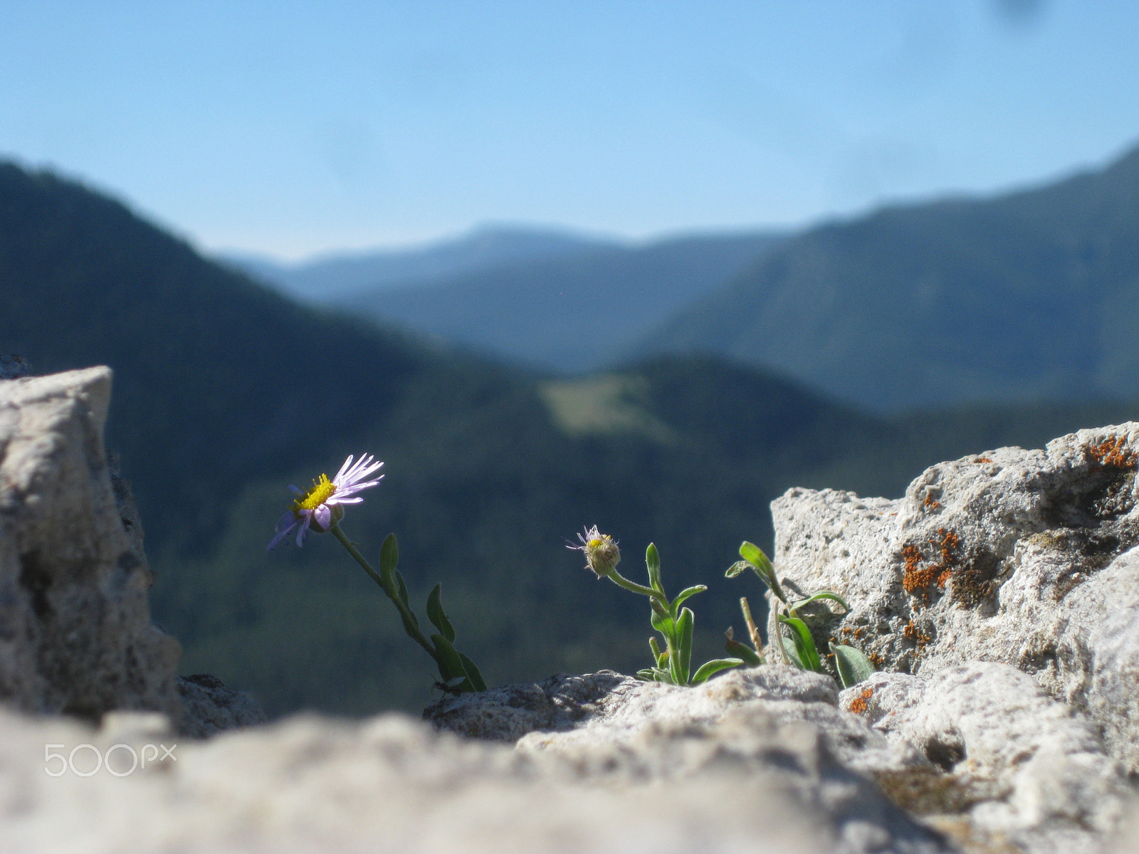 Canon PowerShot SD1100 IS (Digital IXUS 80 IS / IXY Digital 20 IS) sample photo. Mountain beauty in montanta photography