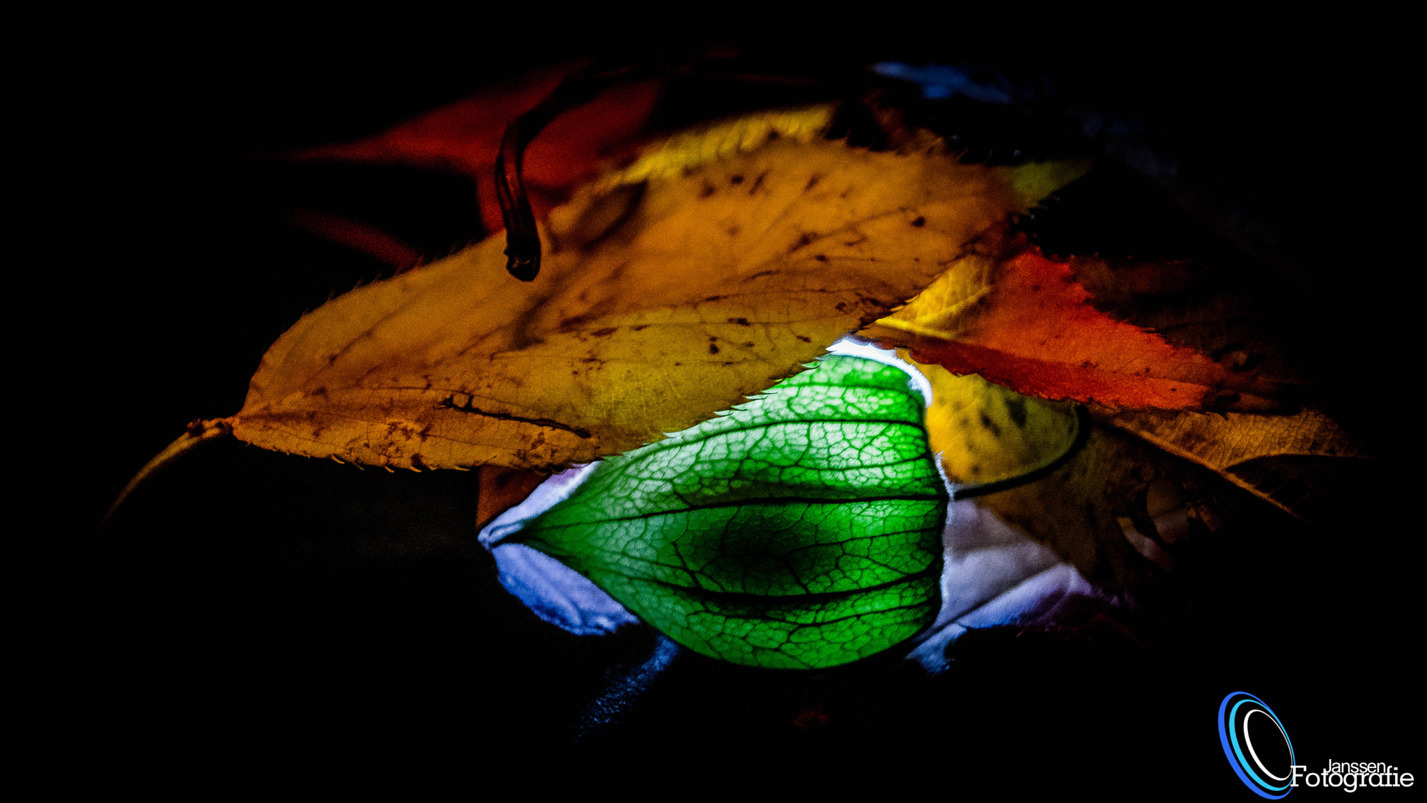 Sony DT 18-55mm F3.5-5.6 SAM II sample photo. Herbstfarben ! photography
