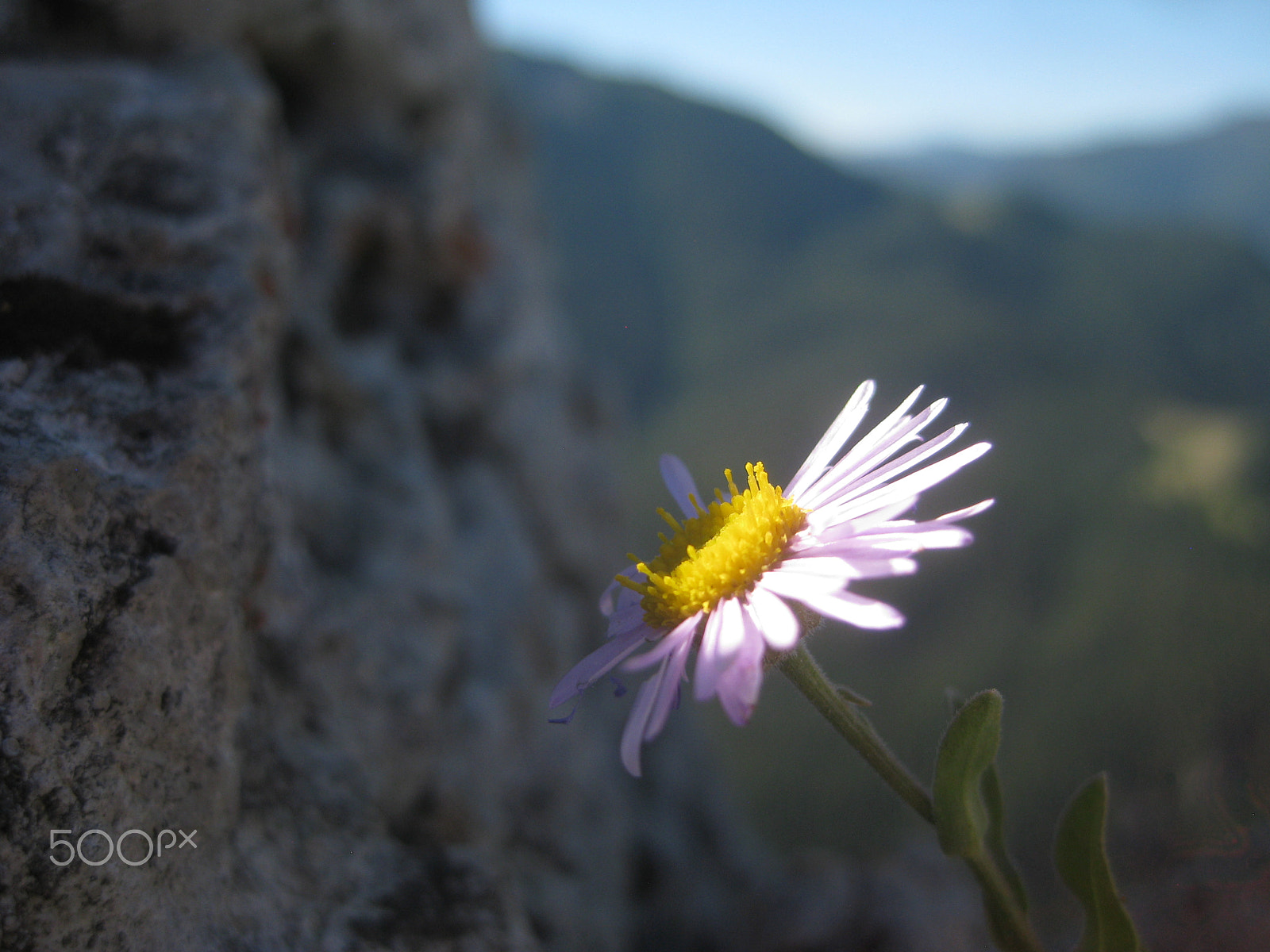 Canon PowerShot SD1100 IS (Digital IXUS 80 IS / IXY Digital 20 IS) sample photo. Mountain beauty in montanta photography