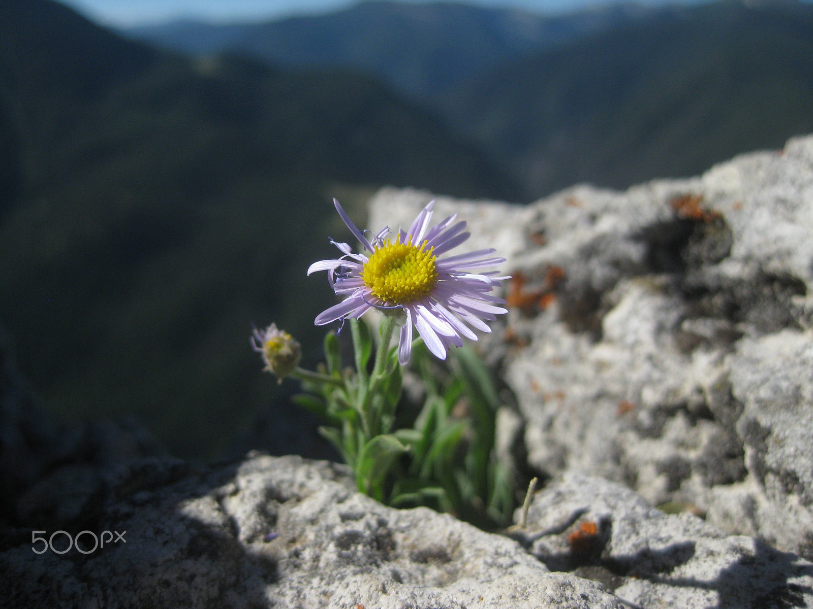 Canon PowerShot SD1100 IS (Digital IXUS 80 IS / IXY Digital 20 IS) sample photo. Mountain beauty in montanta photography