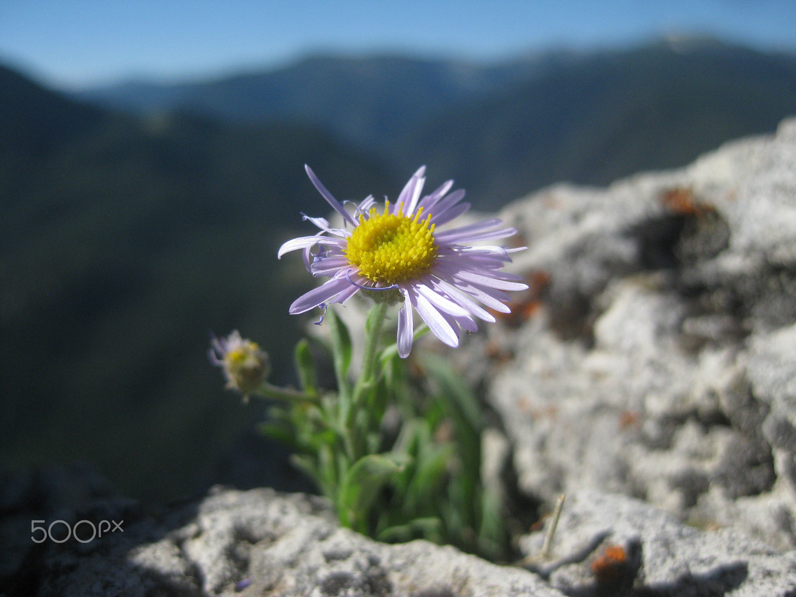 Canon PowerShot SD1100 IS (Digital IXUS 80 IS / IXY Digital 20 IS) sample photo. Mountain beauty in montanta photography