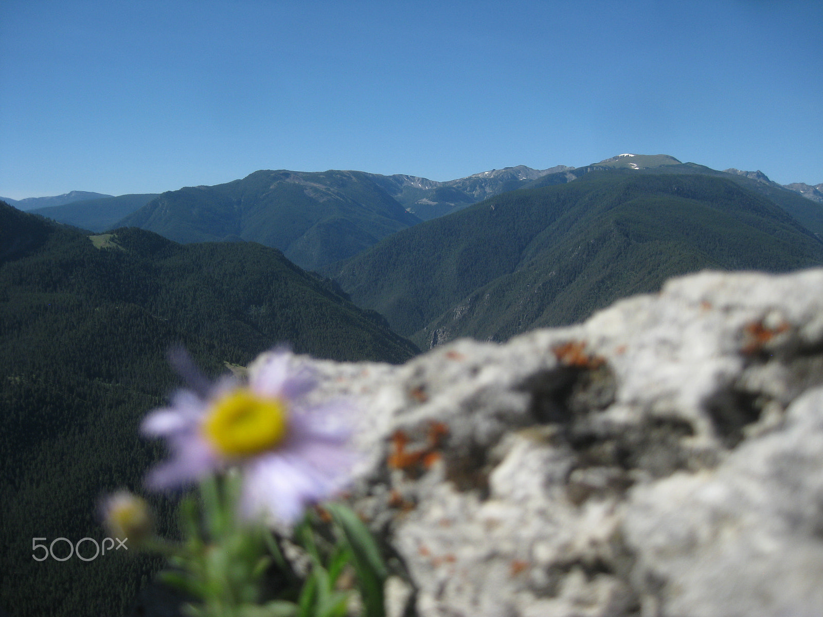 Canon PowerShot SD1100 IS (Digital IXUS 80 IS / IXY Digital 20 IS) sample photo. Mountain beauty in montanta photography