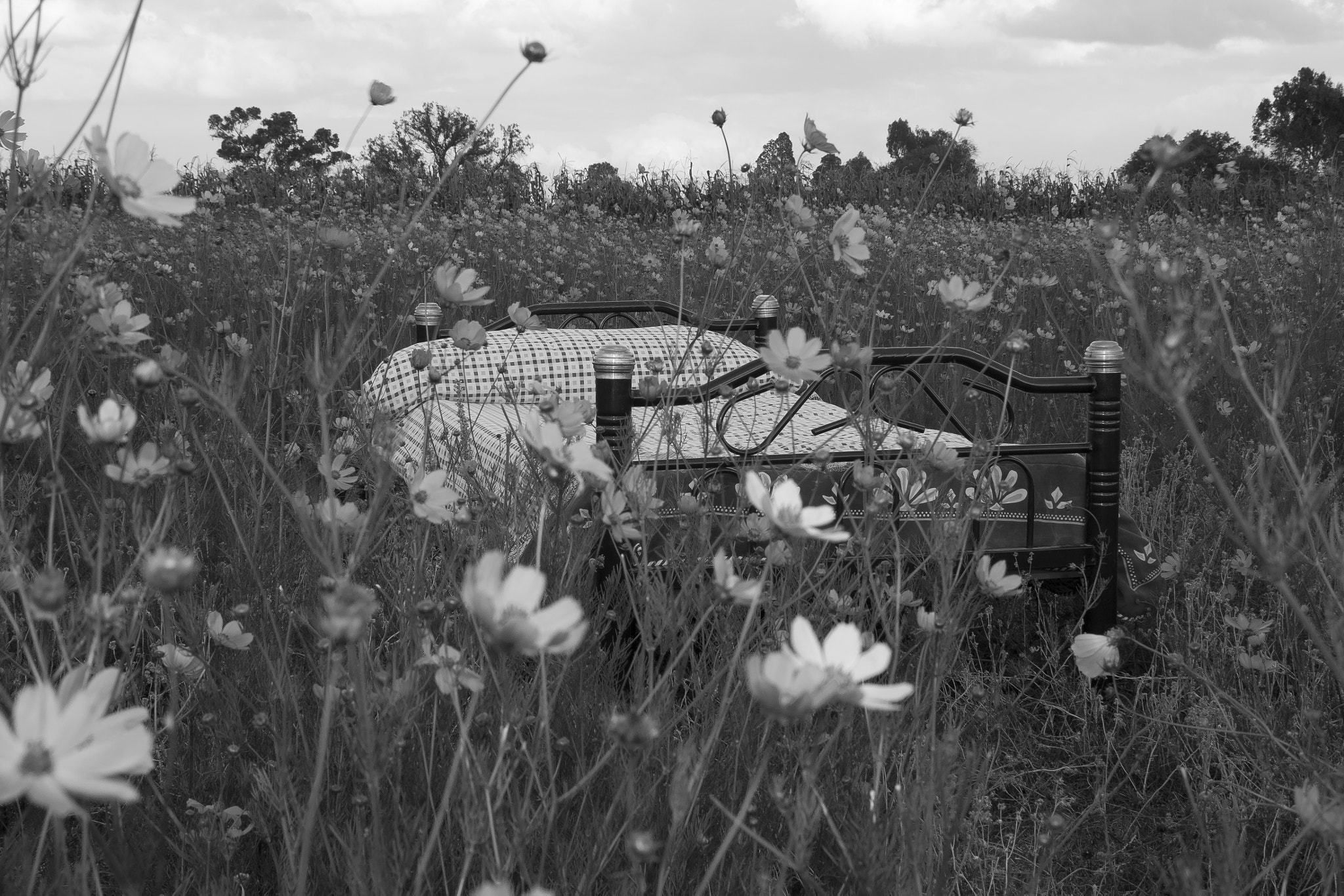 Canon EOS 50D sample photo. Sweetdreams photography