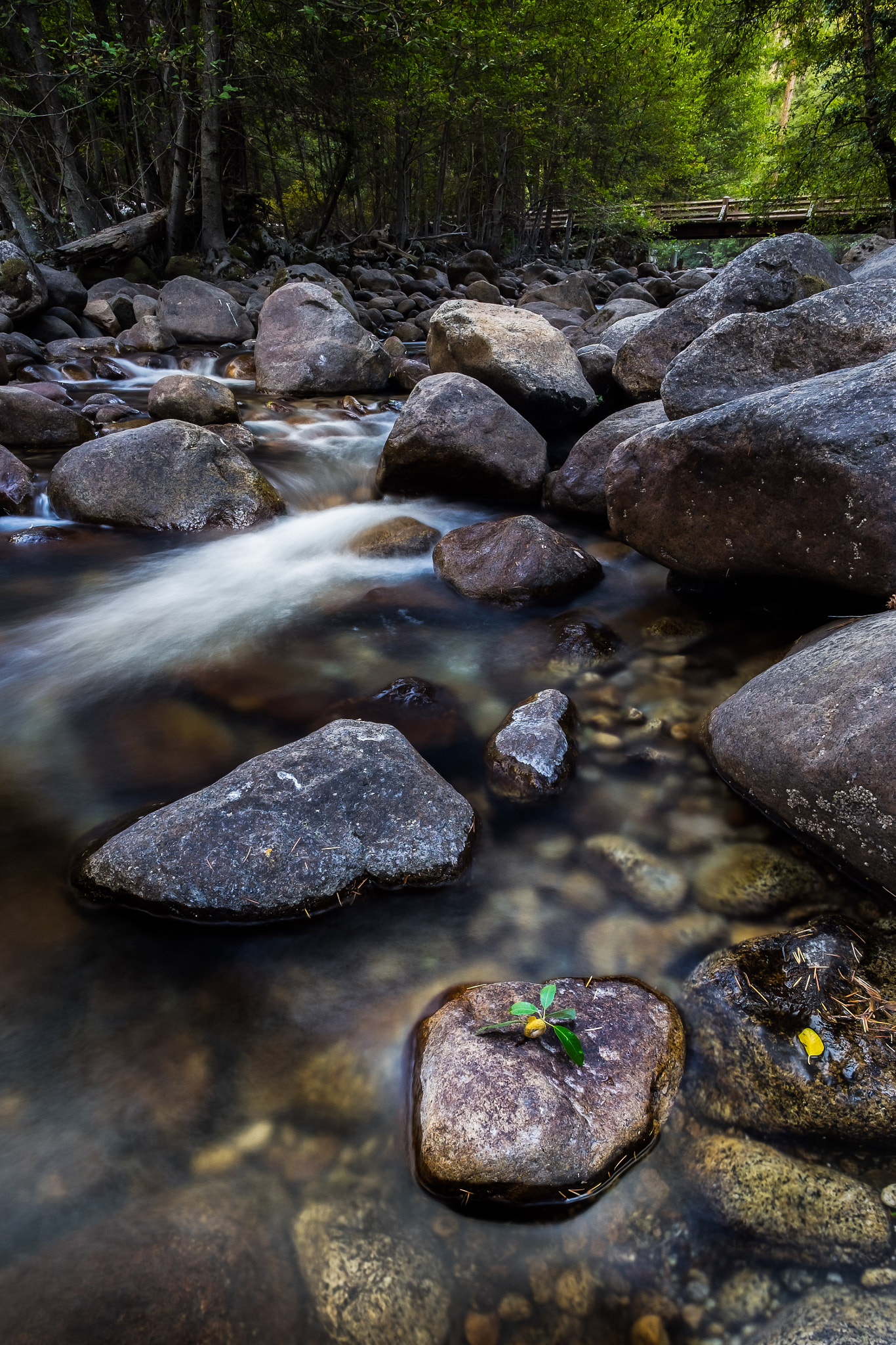 ZEISS Touit 12mm F2.8 sample photo. River photography