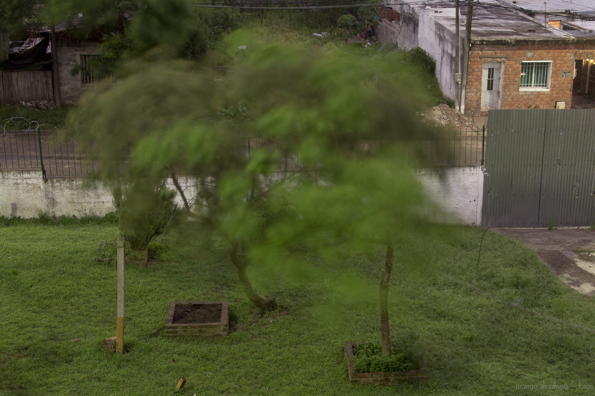 Canon EOS 600D (Rebel EOS T3i / EOS Kiss X5) sample photo. Storm - 2. photography