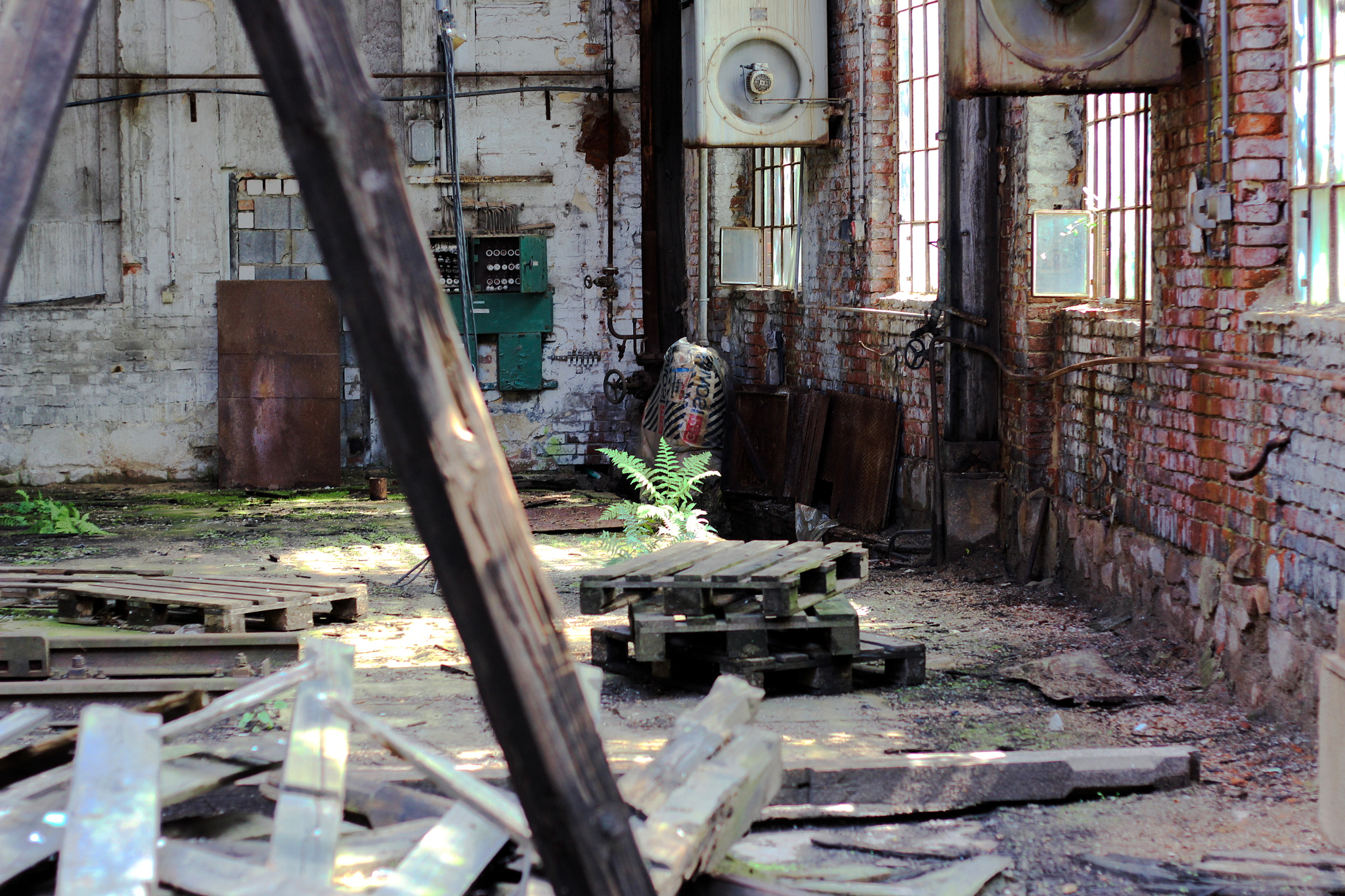 Canon EOS 600D (Rebel EOS T3i / EOS Kiss X5) sample photo. Reborn - decay photography