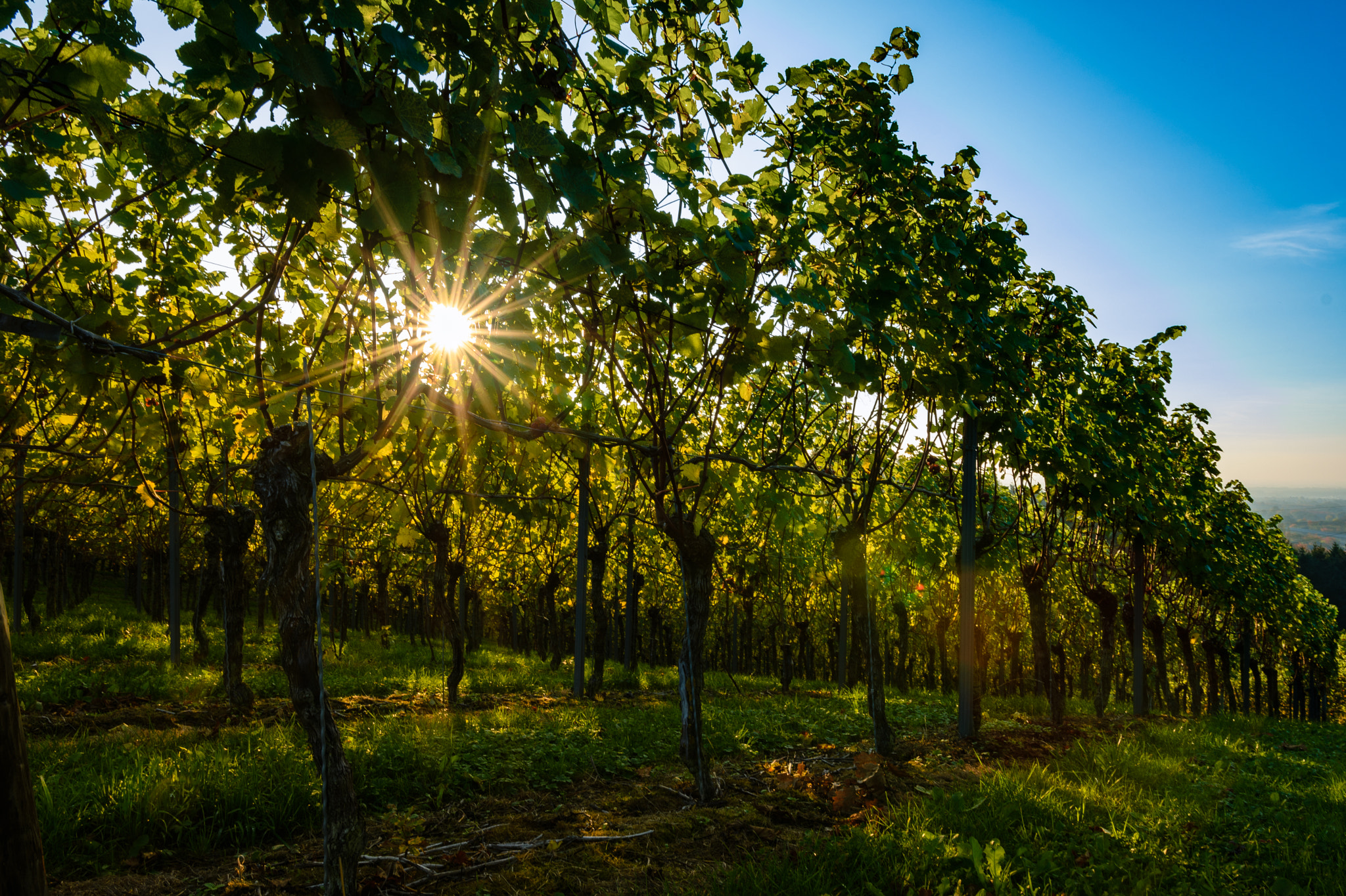 Nikon D500 + Sigma 18-35mm F1.8 DC HSM Art sample photo. Sonnenuntergang photography